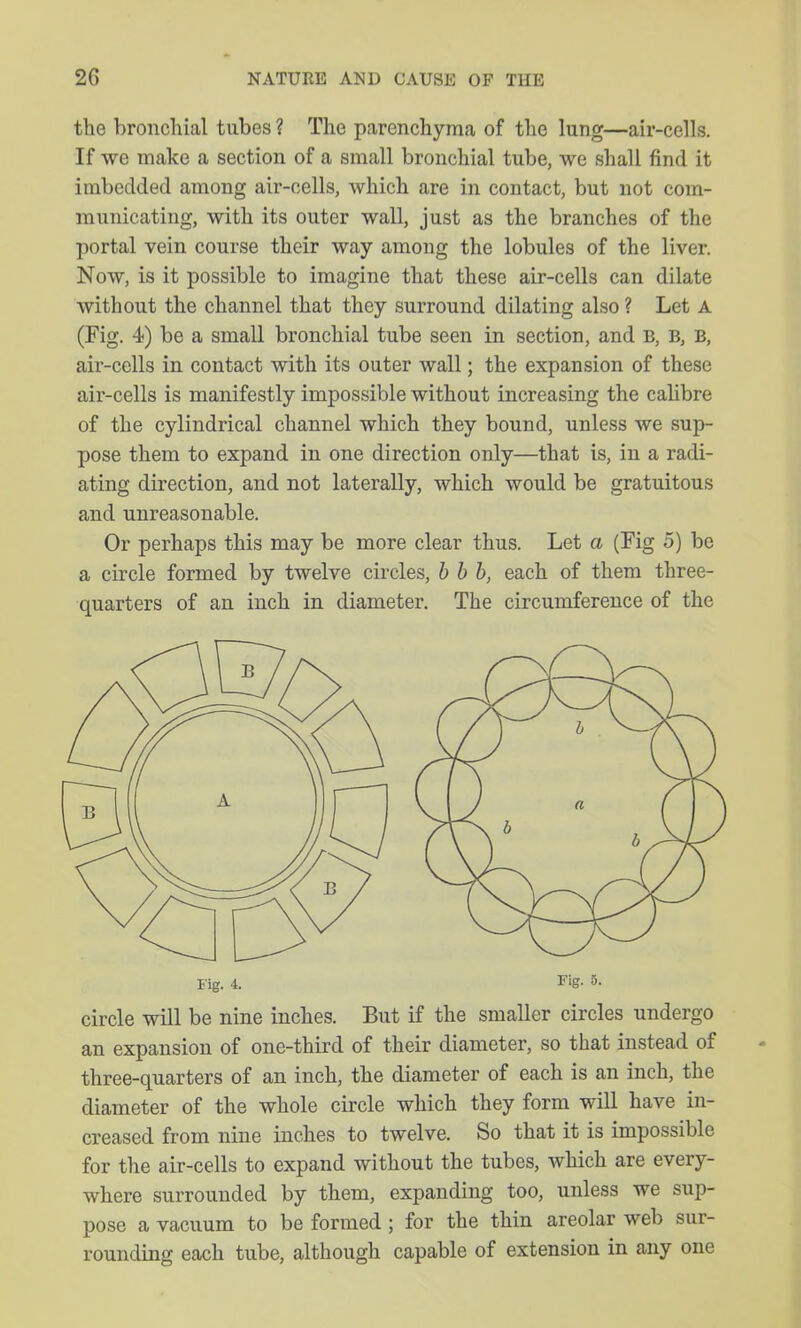 the bronchial tubes ? The parenchyma of the lung—air-cells. If we make a section of a small bronchial tube, we shall find it imbedded among air-cells, which are in contact, but not com- municating, with its outer wall, just as the branches of the portal vein course their way among the lobules of the liver. Now, is it possible to imagine that these air-cells can dilate without the channel that they surround dilating also ? Let a (Fig. 4) be a small bronchial tube seen in section, and b, b, b, air-cells in contact with its outer wall; the expansion of these air-cells is manifestly impossible without increasing the caUbre of the cylindrical channel which they bound, unless we sup- pose them to expand in one direction only—that is, in a radi- ating direction, and not laterally, which would be gratuitous and unreasonable. Or perhaps this may be more clear thus. Let a (Fig 5) be a circle formed by twelve circles, hhh, each of them three- quarters of an inch in diameter. The circumference of the Fig. 4. Fig- 3- circle will be nine inches. But if the smaller circles undergo an expansion of one-third of their diameter, so that instead of three-quarters of an inch, the diameter of each is an inch, the diameter of the whole circle which they form will have in- creased from nine inches to twelve. So that it is impossible for the air-cells to expand without the tubes, which are every- where surrounded by them, expanding too, unless we sup- pose a vacuum to be formed ; for the thin areolar web sur- rounding each tube, although capable of extension in any one