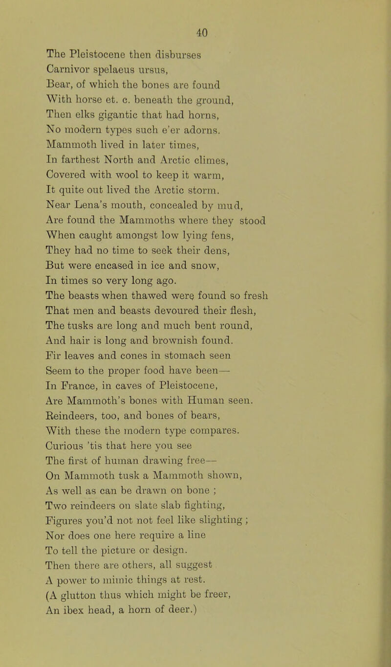 The Pleistocene then disburses Carnivor spelaeus ursus, Bear, of which the bones are found With horse et. c. beneath the ground, Then elks gigantic that had horns. No modern types such e'er adorns. Mammoth lived in later times, In farthest North and Arctic climes, Covered with wool to keep it warm. It quite out lived the Arctic storm. Near Lena's mouth, concealed by mud. Are found the Mammoths where they stood When caught amongst low lying fens. They had no time to seek their dens. But were encased in ice and snow. In times so very long ago. The beasts when thawed were found so fresh That men and beasts devoured their flesh, The tusks are long and much bent round. And hair is long and brownish found. Fir leaves and cones in stomach seen Seem to the proper food have been— In France, in caves of Pleistocene, Are Mammoth's bones with Human seen. Eeindeers, too, and bones of bears, With these the modern type compares. Curious 'tis that here you see The first of human drawing free— On Mammoth tusk a Mammoth shown. As well as can be drawn on bone ; Two reindeers on slate slab fighting. Figures you'd not not feel like slighting ; Nor does one here require a line To tell the picture or design. Then there are others, all suggest A power to mimic things at I'est. (A glutton thus which might be freer. An ibex head, a horn of deer.)