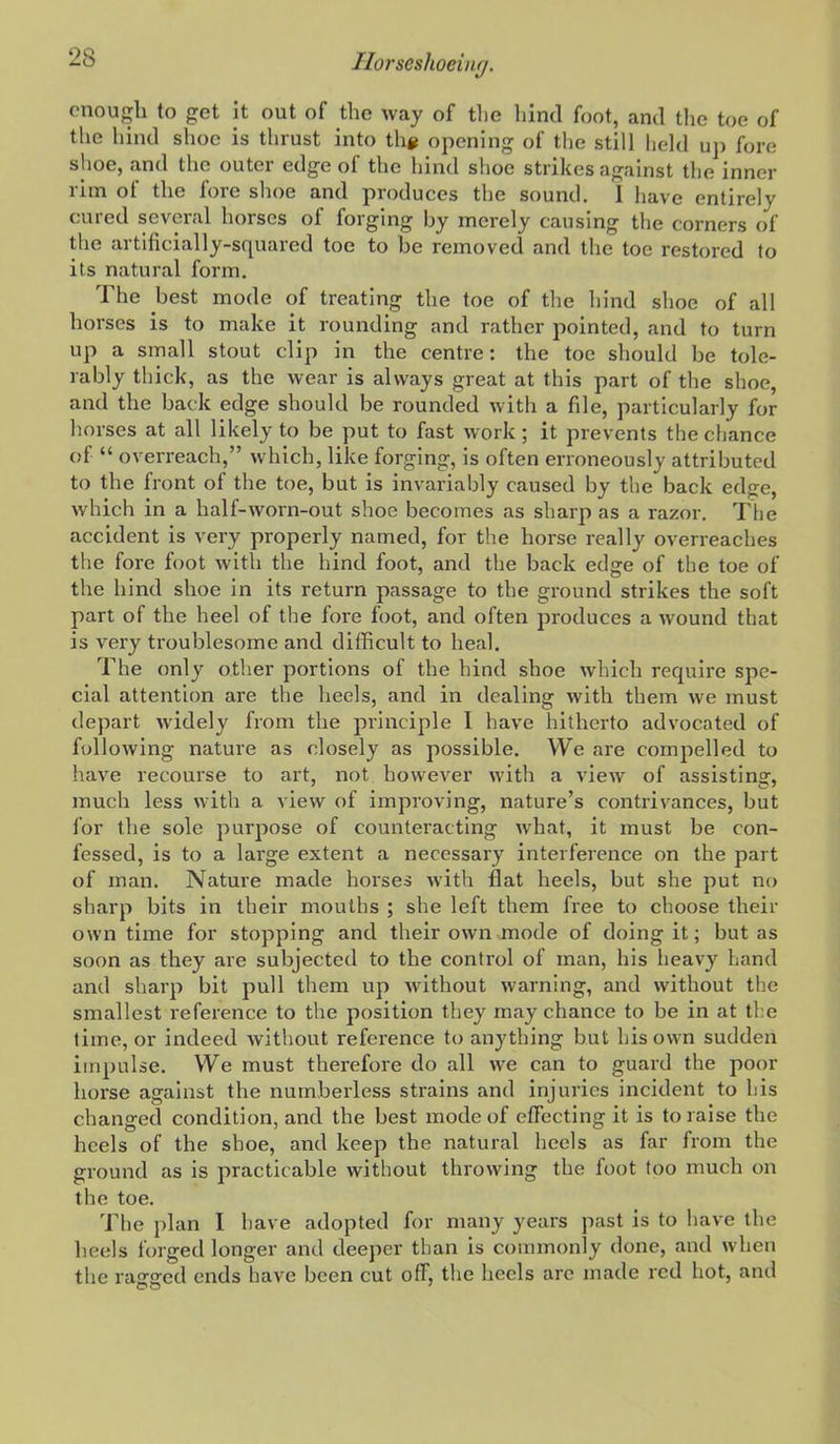 cnouj^h to get it out of the way of the hind foot, and the toe of the hind shoe is thrust into th# opening of the still held up fore shoe, and the outer edge of the hind slioe strikes against the inner rim of the fore shoe and produces the sound. 1 have entirely cured several horses of forging by merely causing the corners of the artificially-squared toe to be removed and the toe restored to its natural form. The best mode of treating the toe of the hind shoe of all horses is to make it rounding and rather pointed, and to turn up a small stout clip in the centre: the toe should be tole- rably thick, as the wear is always great at this part of tlie shoe, and the back edge should be rounded with a file, particularly for horses at all likely to be put to fast work; it prevents the chance of  overreach, which, like forging, is often erroneously attributed to the front of the toe, but is invariably caused by the back edge, which in a half-worn-out shoe becomes as sharp as a razor. The accident is very properly named, for the horse really overreaches the fore foot with the hind foot, and the back edge of the toe of the hind shoe in its return passage to the ground strikes the soft part of the heel of the fore foot, and often produces a wound that is very troublesome and difficult to heal. The only other portions of the hind shoe which require spe- cial attention are the heels, and in dealing with them we must depart widely from the pi'inciple I have hitherto advocated of following nature as closely as possible. We are compelled to have recourse to art, not however with a view of assisting, much less with a view of improving, nature's contrivances, but for the sole purpose of counteracting what, it must be con- fessed, is to a large extent a necessary interference on the part of man. Nature made horses with flat heels, but she put no sharp bits in their mouths ; she left them free to choose their own time for stopping and their own mode of doing it; but as soon as they are subjected to the control of man, his heavy hand and sharp bit pull them up without warning, and without the smallest reference to the position they may chance to be in at the time, or indeed without reference to anything but his own sudden impulse. We must therefore do all we can to guard the poor horse against the numberless strains and injuries incident to his changed condition, and the best mode of effecting it is to raise the heels of the shoe, and keep the natural heels as far from the ground as is practicable without throwing the foot too much on the toe. The plan I have adopted for many years past is to have the heels forged longer and deeper than is commonly done, and when the raffffcd ends have been cut off, the heels arc made red hot, and