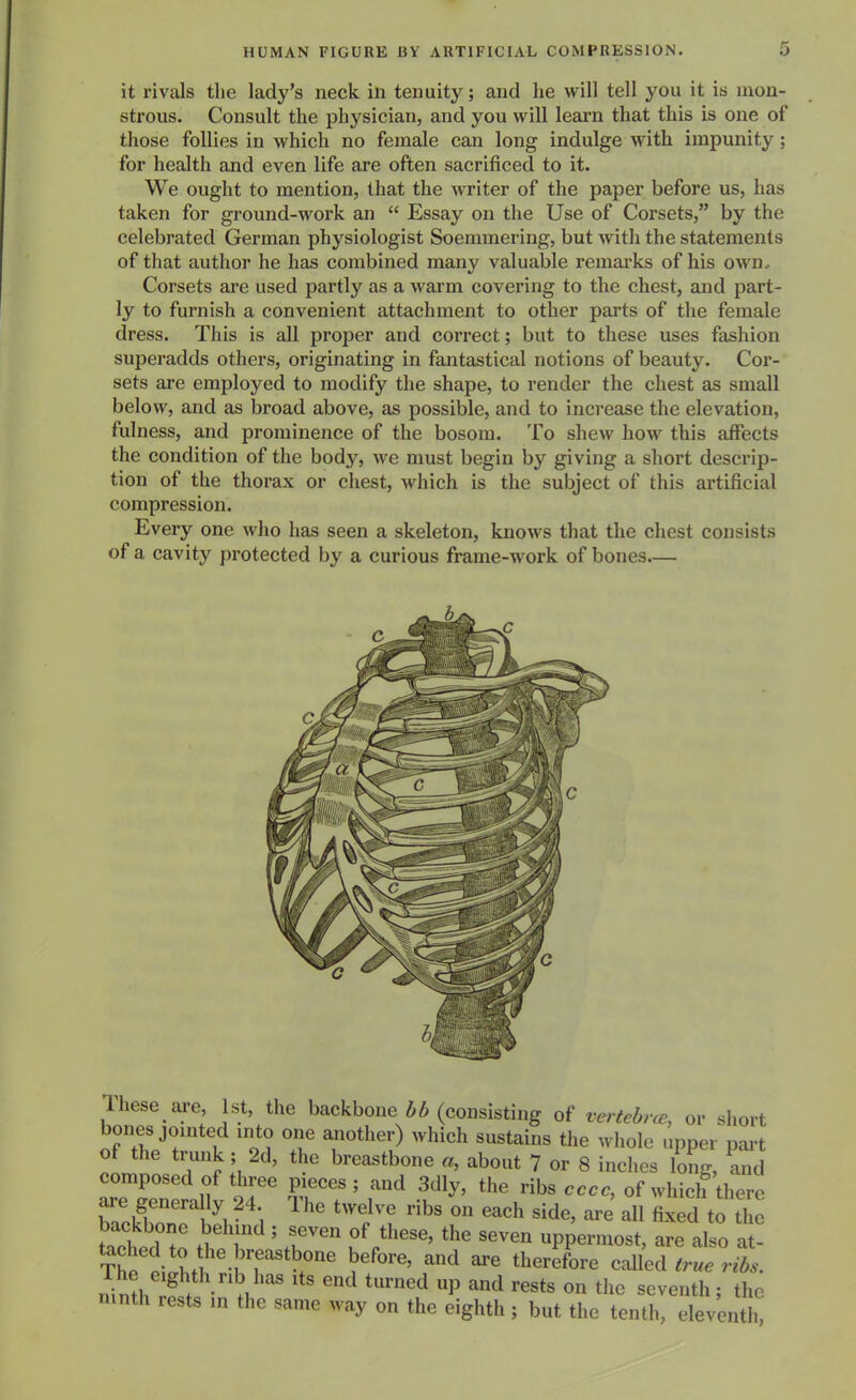 it rivals the lady's neck in tenuity; and he will tell you it is mon- strous. Consult the physician, and you will learn that this is one of those follies in which no female can long indulge with impunity ; for health and even life are often sacrificed to it. We ought to mention, that the writer of the paper before us, has taken for ground-work an  Essay on the Use of Corsets, by the celebrated German physiologist Soemmering, but with the statements of that author he has combined many valuable remarks of his own.. Corsets are used partly as a warm covering to the chest, and part- ly to furnish a convenient attachment to other parts of the female dress. This is all proper and correct; but to these uses fashion superadds others, originating in fantastical notions of beauty. Cor- sets are employed to modify the shape, to render the chest as small below, and as broad above, as possible, and to increjise the elevation, fulness, and prominence of the bosom. To shew how this affects the condition of the body, we must begin by giving a short descrip- tion of the thorax or chest, which is the subject of this artificial compression. Every one who has seen a skeleton, knows that the chest cojisists of a cavity protected by a curious frame-work of bones c