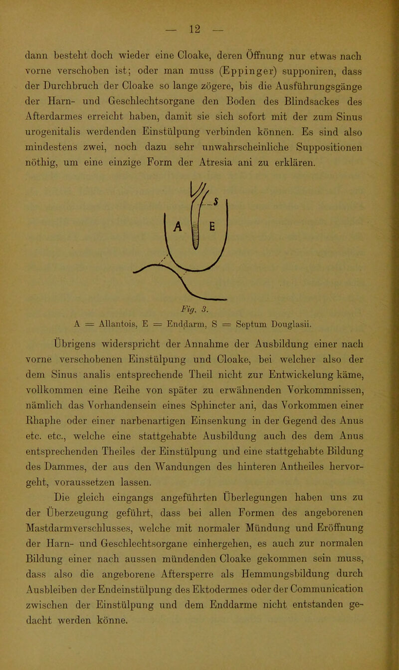 dann besteht doch wieder eine Cloake, deren Öffnung nur etwas nach vorne verschoben ist; oder man muss (Eppinger) supponiren, dass der Durchbruch der Cloake so lange zögere, bis die Ausführungsgänge der Harn- und Geschlechtsorgane den Boden des Blindsackes des Afterdarmes erreicht haben, damit sie sich sofort mit der zum Sinus urogenitalis werdenden Einstülpung verbinden können. Es sind also mindestens zwei, noch dazu sehr unwahrscheinliche Suppositionen nöthig, um eine einzige Form der Atresia ani zu erklären. Fig. 3. A = AUantois, E = Enddarm, S = Septum Douglasii. übrigens widerspricht der Annahme der Ausbildung einer nach vorne verschobenen Einstülpung und Cloake, bei welcher also der dem Sinus analis entsprechende Theil nicht zur Entwickelung käme, vollkommen eine Reihe von später zu erwähnenden Vorkommnissen, nämlich das Vorhandensein eines Sphincter ani, das Vorkommen einer Rhaphe oder einer narbenartigen Einsenkung in der Gegend des Anus etc. etc., welche eine stattgehabte Ausbildung auch des dem Anus entsprechenden Theiles der Einstülpung und eine stattgehabte Bildung des Dammes, der aus den Wandungen des hinteren Antlieiles hervor- geht, voraussetzen lassen. Die gleich eingangs angeführten Überlegungen haben uns zu der Überzeugung geführt, dass bei allen Formen des angeborenen Mastdarmverschlusses, welche mit normaler Mündung und Eröffnung der Harn- und Geschlechtsorgane einhergehen, es auch zur normalen Bildung einer nach aussen mündenden Cloake gekommen sein muss, dass also die angeborene Aftersperre als Hemmungsbildung durch Ausbleiben der Endeinstülpung des Ektodermes oder der Communication zwischen der Einstülpung und dem Enddarme nicht entstanden ge- dacht werden könne.