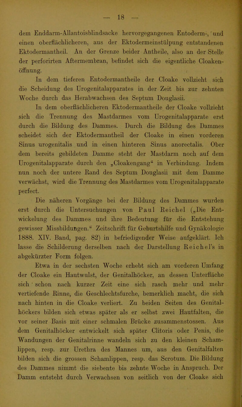 dem Enddarm-Allantoisblindsacke hervorgegangenen Entoderm-,' und einen oberfläcliliclieren, aus der Ektodermeinstülpung entstandenen Ektodermantheü. An der Grenze beider Antheile, also an der Stelle der perforirten Aftermembran, befindet sich die eigentliche Cloaken- öffnung. In dem tieferen Entodermantheile der Cloake vollzieht sich die Scheidung des ürogenitalapparates in der Zeit bis zur zehnten Woche durch das Herabvpachsen des Septum Douglasii. In dem oberflächlicheren Ektodermantlieile der Cloake vollzieht sich die Trennung des Mastdarmes vom Urogenitalapparate erst durch die Bildung des Dammes. Durch die Bildung des Dammes scheidet sich der Ektodermantheil der Cloake in einen vorderen Sinus urogenitalis und in einen hinteren Sinus anorectalis. Ober dem bereits gebildeten Damme steht der Mastdarm noch auf dem Urogenitalapparate durch den „Cloakengang in Verbindung. Indem nun noch der untere Kand des Septum Douglasii mit dem Damme vervsrächst, vsrird die Trennung des Mastdarmes vom Urogenitalapparate perfect. Die näheren Vorgänge bei der Büdung des Dammes wurden erst durch die Untersuchungen von Paul Reichel („Die Ent- wickelung des Dammes und ihre Bedeutung für die Entstehung gewisser Missbildungen. Zeitschrift für Geburtshilfe und Gynäkologie 1888. XIV. Band, pag. 82) in befriedigender Weise aufgeklärt. Ich lasse die Schilderung derselben nach der Darstellung Reichel's in abgekürzter Form folgen. Etwa in der sechsten Woche erhebt sich am vorderen Umfang der Cloake ein Hautwulst, der Genitalhöcker, an dessen Unterfläche sich ' schon nach kurzer Zeit eine sich rasch mehr und mehr vertiefende Rinne, die Geschlechtsfurche, bemerklich macht, die sich nach hinten in die Cloake verliert. Zu beiden Seiten des Genital- höckers büden sich etwas später als er selbst zwei Hautfalten, die vor seiner Basis mit einer schmalen Brücke zusammenstossen. Aus dem Genitalhöcker entwickelt sich später Clitoris oder Penis, die Wandungen der Genitalrinne wandeln sich zu den kleinen Scham- lippen, resp. zur Urethra des Mannes um, aus den Genitalfalten bilden sich die grossen Schamlippen, resp. das Scrotum. Die Bildung des Dammes nimmt die siebente bis zehnte Woche in Anspruch. Der Damm entsteht durch Verwachsen von seitlich von der Cloake sich