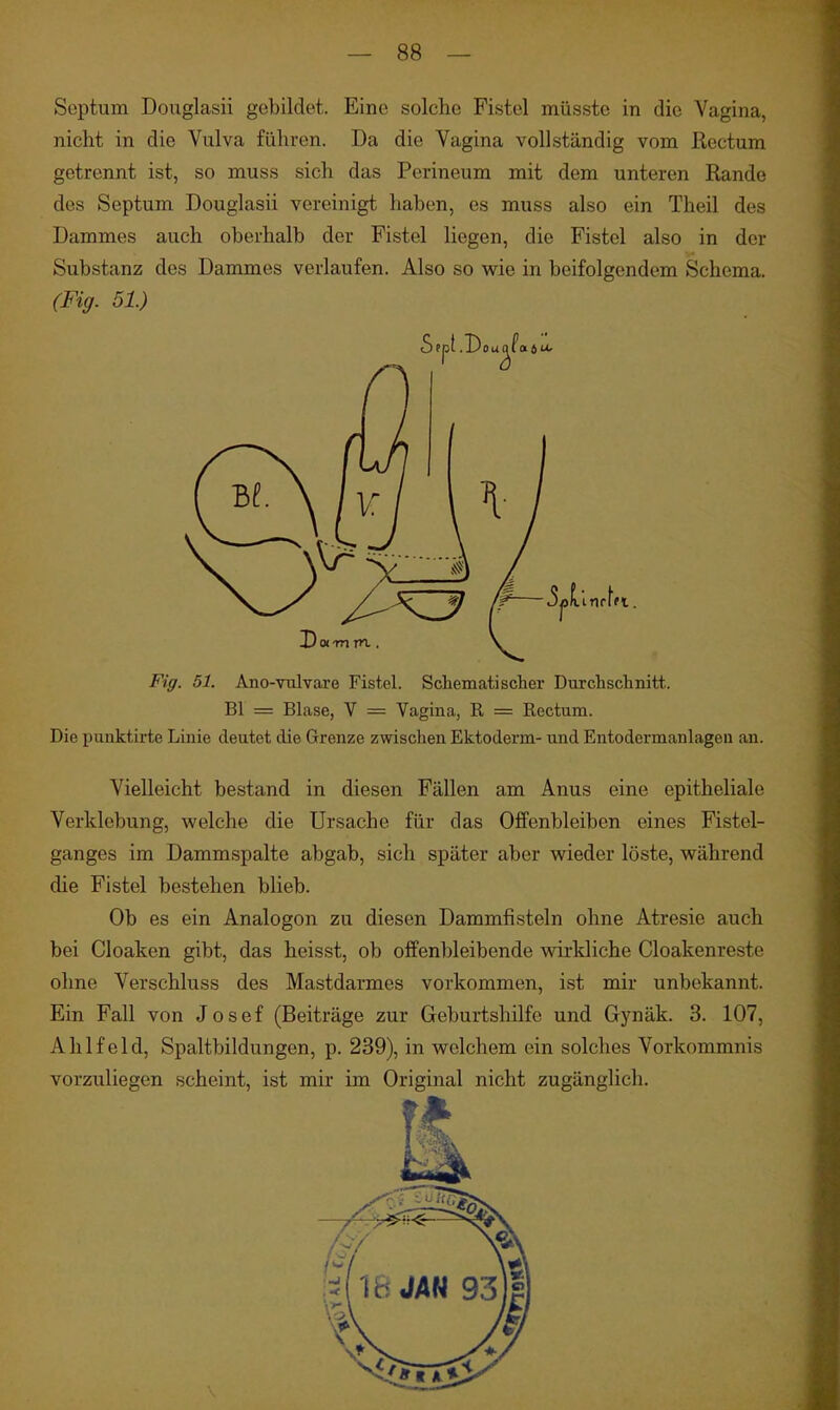 Septum Douglasii gebildet. Eine solche Fistel müsste in die Vagina, nicht in die Vulva führen. Da die Vagina vollständig vom Rectum getrennt ist, so muss sich das Perineum mit dem unteren Rande des Septum Douglasii vereinigt haben, es muss also ein Theil des Dammes auch oberhalb der Fistel liegen, die Fistel also in der Substanz des Dammes verlaufen. Also so w^ie in beifolgendem Schema. (Fig. 51.) Fig. 51. Ano-vulvare Fistel. Schematischer DuTchschnitt.. Bl = Blase, V = Vagina, R Rectum. Die punktirte Linie deutet die Grenze zwischen Ektoderm- und Entodermanlageii an. Vielleicht bestand in diesen Fällen am Anus eine epitheliale Verklebung, welche die Ursache für das Offenbleiben eines Fistel- ganges im Dammspalte abgab, sich später aber wieder löste, während die Fistel bestehen blieb. Ob es ein Analogon zu diesen Dammfisteln ohne Atresie auch bei Cloaken gibt, das heisst, ob offenbleibende wirkliche Cloakenreste ohne Verschluss des Mastdarmes vorkommen, ist mir unbekannt. Ein Fall von Josef (Beiträge zur Geburtshilfe und Gynäk. 3. 107, Alilf eld, Spaltbildungen, p. 239), in welchem ein solches Vorkommnis vorzuliegen scheint, ist mir im Original nicht zugänglich.