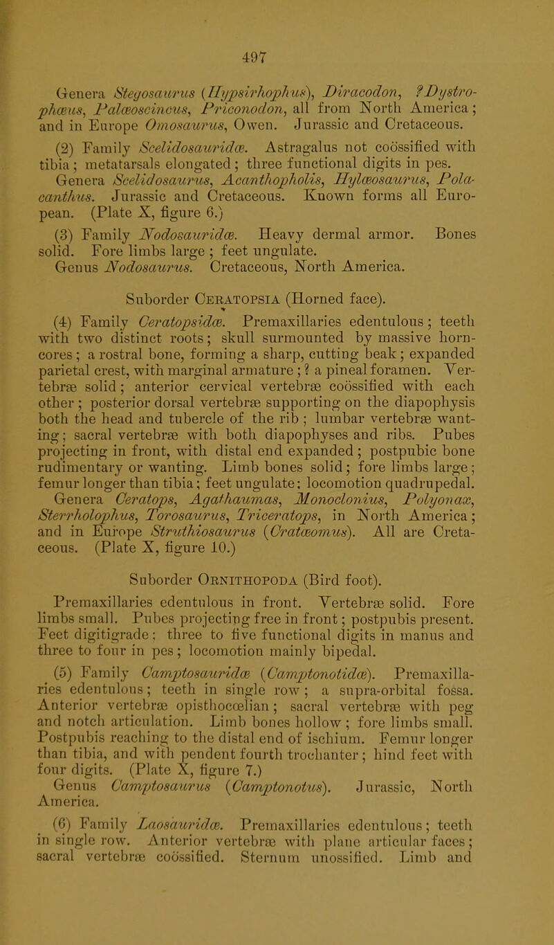 Genera Stegosaurus (Pypsirhophus), Diracoclon, ?Dystro- phceus, Palceoscincus, Priconodon, all from North America; and in Europe Omosaurus, Owen. Jurassic and Cretaceous. (2) Family Scelidosauridce. Astragalus not coossified with tibia ; metatarsals elongated ; three functional digits in pes. Genera Scelidosaurus, Acanthopholis, Hylceosaurus, Pola- canthus. Jurassic and Cretaceous. Known forms all Euro- pean. (Plate X, figure 6.) (3) Family Nodosauridce. Heavy dermal armor. Bones solid. Fore limbs large ; feet ungulate. Genus JYodosaurvis. Cretaceous, North America. Suborder Ceratopsia (Horned face). (4) Family Ger atop sides. Premaxillaries edentulous ; teeth with two distinct roots; skull surmounted by massive horn- cores ; a rostral bone, forming a sharp, cutting beak; expanded parietal crest, with marginal armature ; ? a pineal foramen. Ver- tebrae solid; anterior cervical vertebrae coossified with each other ; posterior dorsal vertebrae supporting on the diapophysis both the head and tubercle of the rib ; lumbar vertebrae want- ing ; sacral vertebrae with both diapophyses and ribs. Pubes projecting in front, with distal end expanded; postpubic bone rudimentary or wanting. Limb bones solid; fore limbs large ; femur longer than tibia; feet ungulate; locomotion quadrupedal. Genera Ceratops, Agathaumas, Monoclonius, Polyonax, Sterrholophus, Torosaurus, Triceratops, in North America ; and in Europe Struthiosaurus (Grata&omus). All are Creta- ceous. (Plate X, figure 10.) Suborder Ornithopoda (Bird foot). Premaxillaries edentulous in front. Vertebrae solid. Fore limbs small. Pubes projecting free in front; postpubis present. Feet digitigrade; three to five functional digits in manus and three to four in pes; locomotion mainly bipedal. (5) Family Gamptosauridce (Camptonotidce). Premaxilla- ries edentulous; teeth in single row; a supra-orbital fossa. Anterior vertebrae opisthocoelian ; sacral vertebrae with peg and notch articulation. Limb bones hollow ; fore limbs small. Postpubis reaching to the distal end of ischium. Femur longer than tibia, and with pendent fourth trochanter; hind feet with four digits. (Plate X, figure 7.) Genus Camptosaurus (Gamptonotus). Jurassic, North America. (6) Family Laosauridce. Premaxillaries edentulous; teeth in single row. Anterior vertebrae with plane articular faces; sacral vertebrae coossified. Sternum unossified. Limb and