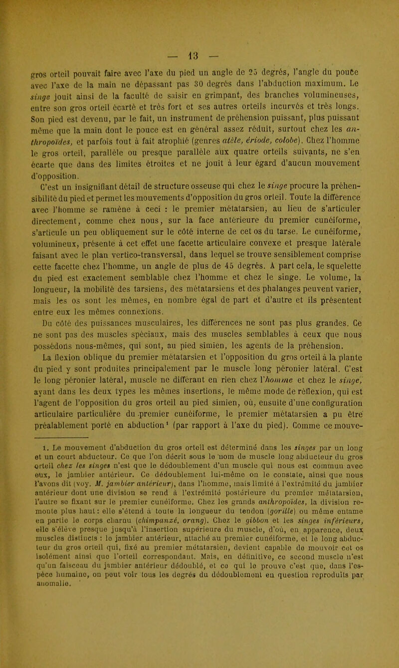 gros orteil pouvait faire avec l'axe du pied un angle de 25 degrés, l'angle du pouce avec l'axe de la main ne dépassant pas 30 degrés dans l'abduction maximum. Le singe jouit ainsi de la faculté de saisir en grimpant, des branches volumineuses, entre son gros orteil écarté et très fort et ses autres orteils incurvés et très longs. Son pied est devenu, par le fait, un instrument de préhension puissant, plus puissant même que la main dont le pouce est en général assez réduit, surtout chez les an- thropoïdes, et parfois tout à fait atrophié (genres atèle, ériodc, colobe). Chez l'homme le gros orteil, parallèle ou presque parallèle aux quatre orteils suivants, ne s'en écarte que dans des limites étroites et ne jouit à leur égard d'aucun mouvement d'opposition. C'est un insignifiant détail de structure osseuse qui chez le singe procure la préhen- sibilitô du pied et permet les mouvements d'opposition du gros orleil. Toute la différence avec l'homme se ramène à ceci : le premier métatarsien, au lieu de s'articuler directement, comme chez nous, sur la face antérieure du premier cunéiforme, s'articule un peu obliquement sur le côté interne de cet os du tarse. Le cunéiforme, volumineux, présente à cet effet une facette articulaire convexe et presque latérale faisant avec le plan vertico-transversal, dans lequel se trouve sensiblement comprise cette facette chez l'homme, un angle de plus de 45 degrés. À part cela, le squelette du pied est exactement semblable chez l'homme et chez le singe. Le volume, la longueur, la mobilité des tarsiens, des métatarsiens et des phalanges peuvent varier, mais les os sont les mêmes, en nombre égal de part et d'autre et ils présentent entre eux les mêmes connexions. Du côté des puissances musculaires, les différences ne sont pas plus grandes. Ce ne sont pas des muscles spéciaux, mais des muscles semblables à ceux que nous possédons nous-mêmes, qui sont, au pied simien, les agents de la préhension. La flexion oblique du premier métatarsien et l'opposition du gros orteil à la plante du pied y sont produites principalement par le muscle long pèronier latéral. C'est le long pèronier latéral, muscle ne différant en rien chez Y homme et chez le singe, ayant dans les deux types les mômes insertions, le même mode de rèllexion, qui est l'agent de l'opposition du gros orteil au pied simien, où, eusuite d'une configuration articulaire particulière du .premier cunéiforme, le premier métatarsien a pu être préalablement porté en abduction1 (par rapport à l'axe du pied). Comme oemouve- 1. Le mouvement d'abduction du gros orteil est déterminé d.ms les singes par un long et un court nbductour. Ce que l'on décrit sous le nom de muscle loug abducteur du gros orteil chez les singes n'est que le dédoublement d'un muscle qui nous est commun avec eux, le jnmbier antérieur. Ce dédoublement lui-mômo on le constate, ainsi que nous l'avons dit (voy. M. jambier antérieur), dans l'homme, mais limité ;i l'extrémité du jambior antérieur dont une division se rend à l'extrémité poslérioure du premier métatarsien, l'autre se fixant sur le premier cunéiforme. Chez les grands anthropoïdes, la division re- monte plus haut : elle s'étend à toute la longueur du tendon (gorille) ou môme onlame en parlio le corps charnu [chimpanzé, orang). Chez le gibbon et les singes inférieurs, ello s'élève presque jusqu'à l'insertion supérieure du muscle, d'où, en apparence, deux muscles distincts : lo jambier antérieur, attaché au premier cunéiforme, et le long abduc- teur du gros orteil qui, fixé au premier métatarsien, devient capable do mouvoir cet os isolément ainsi quo l'orteil correspondant. Mais, on détlnitive, co socond musclo n'est qu'un faiscoau du jnmbier antérieur dédoublé, et co qui lo prouve c'est quo, dans l'os- pèco humaine, on pout voir tous les degrés du dédoublement eu question reproduits par anomalie.