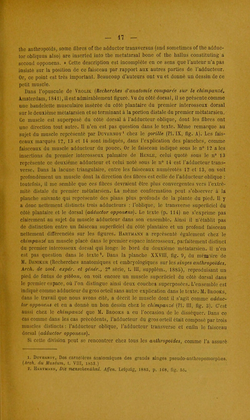 the anthropoïds, some flbrcs of the adductor transversus (and sometimes of the adduc- tor obliquus also) are inserted into the mctatarsal bone of the hallus constituting a secoad opponens. » Cette description est incomplète en ce sens que l'auteur n'a pas insiste sur la position de ce faisceau par rapport aux autres parties de l'adducteur. Or, ce point est très important. Beaucoup d'auteurs ont vu et donné un dessin de ce petit muscle. Dans l'opuscule de Vrolik {Recherches d'analomic comparée sur le chimpanzé, Amsterdam, 1841), il est admirablement figuré. Vu du côté dorsal, il se présente comme une bandelette musculaire insérée du côté plantaire du premier interosseux dorsal sur le deuxième métatarsien et se terminant à la portion distale du premier métatarsien. Ce muscle est superposé du côté dorsal à l'adducteur oblique, dont les fibres ont une direction tout autre. 11 n'en est pas question dans le texte. Même remarque au sujet du muscle représenté par Duvernoy' chez le gorille (Pl. IX, fig. A). Les fais- ceaux marqués 12, 13 et 14 sont indiqués, dans l'explication des planches, comme faisceaux du muscle adducteur du pouce. Or le faisceau indiqué sous le n° 12 aies insertions du premier interosseux palmaire de Henle, celui quotè sous le n° 13 représente ce deuxième adducteur et celui noté sous le n° 14 est l'adducteur trans- verse. Dans Ja lacune triangulaire, entre les faisceaux numérotés 12 et 13, on voit profondément un muscle dont la direction des fibres est celle de l'adducteur oblique : toutefois, il me semble que ces fibres devraient être plus convergentes vers l'extré- mité distale du premier métatarsien. La même conformation peut s'observer à la planche suivante qui représente des plans plus profonds de la plante du pied. Il y a donc nettement distincts trois adducteurs : l'oblique, le transverse superficiel du cèle plantaire et le dorsal [adductor opponens). Le texte (p. 114) ne s'exprime pas clairement au sujet du muscle adducteur dans son ensemble. Ainsi il n'établit pas de distinction entre un faisceau superficiel du côté plantaire et un profond faisceau nettement différenciés sur les figures. Hartmann a représenté également chez le chimpanzé un muscle placé dans le premier espace interosseux, parfaitement distinct du premier interosseux dorsal qui longe le bord du deuxième métatarsien. Il n'en est pas question dans le texte*. Dans la planche XXVIII, fig. 9, du mémoire de M. Denikur (Recherches anatomiques et embryologiques sur les singes anthropoïdes, Arch. de zool. expér. et gêner., 2° série, t. III, supplém., 1885), reproduisant un pied de fœtus de gibbon, on voit encore un muscle superficiel du côté dorsal dans le premier espace, où l'on distingue ainsi deux couches superposées. L'ensemble est indiqué comme adducteur du gros orteil sans autre explication dans le texte. M. Bhooks, dans le travail que nous avons cité, a décrit le muscle dont il s'agit comme adduc- tor opponens et eu a donné un bon dessin chez le chimpanzé (Pl. III, fig. 3). C'est aussi chez le chimpanzé que M. Brooks a eu l'occasion de le disséquer. Dans ce cas comme dans les cas précédents, l'adducteur du gros orteil était composé par trois muscles distincts: l'adducteur oblique, l'adducteur transverse et enfin le faisceau dorsal (adductor opponens). Si cette division peut se rencontrer chez tous les anthropoïdes, comme l'a assuré 1. Duvbunov, Dos cnrncloros anatomiquos dos grands singes psoudo-anlhropomorplios. (sirch. du Muséum, t. VIII, 1853.)