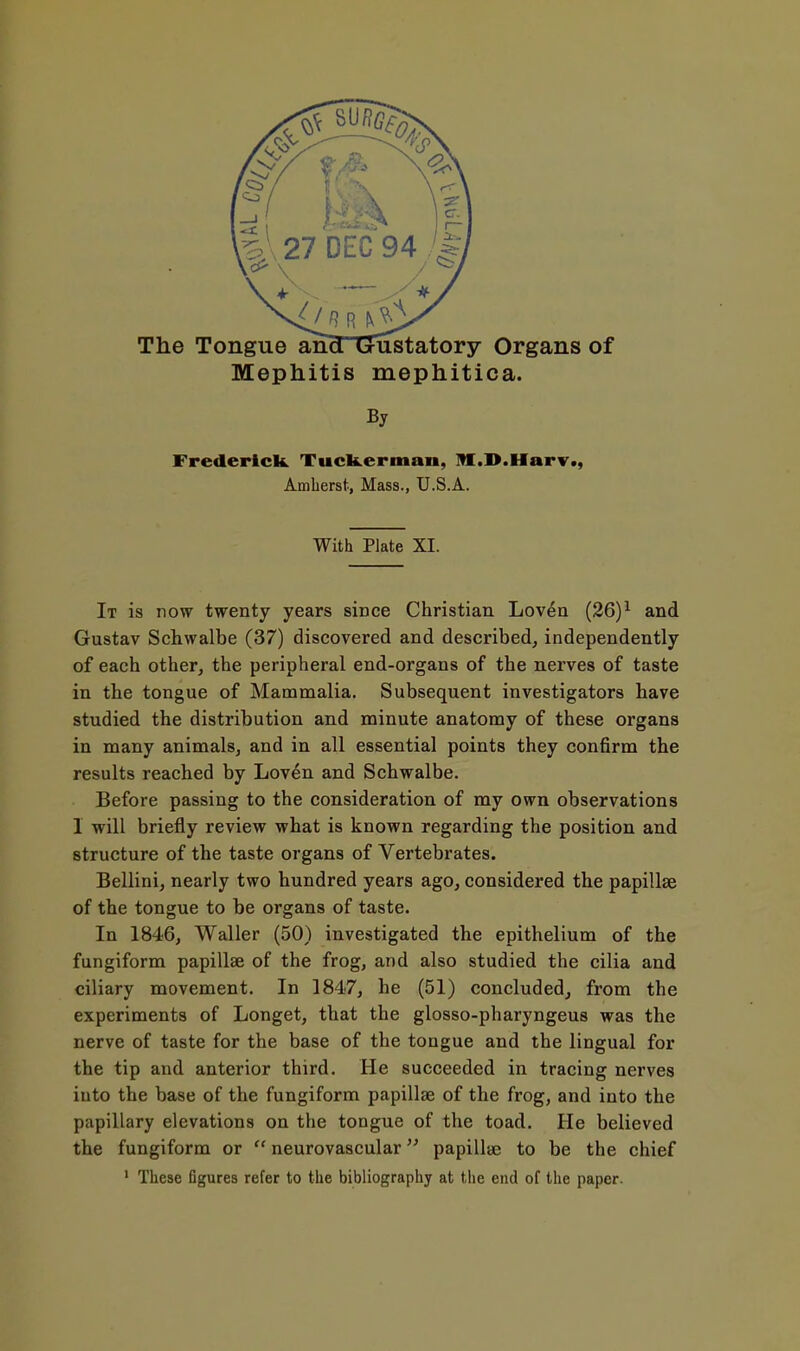 Tlie Tongue ananJustatory Organs of Mephitis mephitica. By Frederick. Tucfeerman, H.D.MarT*, Amherst, Mass., U.S.A. With Plate XI. It is now twenty years since Christian Loven (26)^ and Gustav Schwalbe (37) discovered and described, independently of each other, the peripheral end-organs of the nerves of taste in the tongue of Mammalia. Subsequent investigators have studied the distribution and minute anatomy of these organs in many animals, and in all essential points they confirm the results reached by Loven and Schwalbe. Before passing to the consideration of my own observations 1 will briefly review what is known regarding the position and structure of the taste organs of Vertebrates. Bellini, nearly two hundred years ago, considered the papillae of the tongue to be organs of taste. In 1846, Waller (50) investigated the epithelium of the fungiform papillae of the frog, and also studied the cilia and ciliary movement. In 1847, he (51) concluded, from the experiments of Longet, that the glosso-pharyngeus was the nerve of taste for the base of the tongue and the lingual for the tip and anterior third. He succeeded in tracing nerves into the base of the fungiform papillae of the frog, and into the papillary elevations on the tongue of the toad. He believed the fungiform or  neurovascular papillae to be the chief ' These figures refer to the bibliography at the end of the paper.