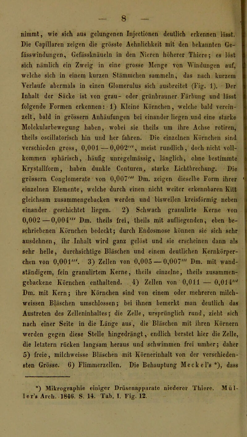 nimmt, wie sich aus gelungenen Injectionen deutlich erkennen lässt. Die Capillaren zeigen die grösste Aehnlichkeit mit den bekannten Gc- fässwindungen, Gefässknäueln in den Nieren höherer Thicre; es löst sich nämlich ein Zweig in eine grosse Menge von Windungen auf, welche sich in einem kurzen Stämmchen sammeln, das nach kurzem Verlaufe abermals in einen Glomerulus sich ausbreitet (Fig. 1). Der Inhalt der Säcte ist von grau- oder grünbrauner. Färbutig und lässt folgende Formen erkennen: 1) Kleine Körnchen, welche bald verein- zelt, bald in grössern Anhäufungen bei einander liegen und eine starke Molekularbewegung haben, wobei sie theils um ihre Achse rotiren, theils oscillatorisch hin und her fahren. Die einzelnen Körnchen sind verschieden gross, 0,001 —0,002', meist rundlich, doch nicht voll- kommen sphärisch, häufig unrcgelmässig, länglich, ohne bestimmte Krystallform, haben dunkle Conturen, starke Lichtbrechung. Die grössern Conglomerate von 0,007' Dm. zeigen dieselbe Form ihrer einzelnen Elemente, welche durch einen nicht weiter erkennbaren Kitt gleichsam zusammengebacken werden und bisweilen kreisförmig neben einander geschichtet liegen. 2) Schwach granulirle Kerne von 0,002—0,004' Dm. theils frei, theils mit aufliegenden, eben be- schriebenen Körnchen bedeckt; durch Ehdosmose können sie sich sehr ausdehnen, ihr Inhalt wird ganz gelöst und sie erscheinen dann als sehr helle, durchsichtige Bläschen und einem deutlichen Kernkörper- chen von 0,001'. 3) Zellen von 0,005 — 0,007' Dm. mit wand- ständigem, fein granulirtem Kerne, theils einzelne, theils zusammen- gebackene Körnchen enthaltend. . 4) Zellen von 0,011 — 0,014' Dm. mit Kern; ihre Körnchen sind von einem oder mehreren milch- weissen Bläschen umschlossen; l)ei ihnen bemerkt man deutlich das Austreten des Zelleninhaltes; die Zelle, ursprünglich rund, zieht sich nach einer Seite in die Länge aus , die Bläschen mit ihren Körnern werden gegen diese Stelle hingedrängt, endlich berstet hier die Zelle, die letztern rücken langsam heraus und schwimmen frei umher; daher 5) freie, milchwcisse Bläschen mit Körnerinhalt von der verschieden- sten Grösse. 6) Flimmerzellcn. Die Behauptung Meckel's*), dass *) Mikrographie einiger Drüscnapparato niederer Tliiorc. Mül- ler'« Arch. 1840. S. 14. Tab. I. Fig. 12.