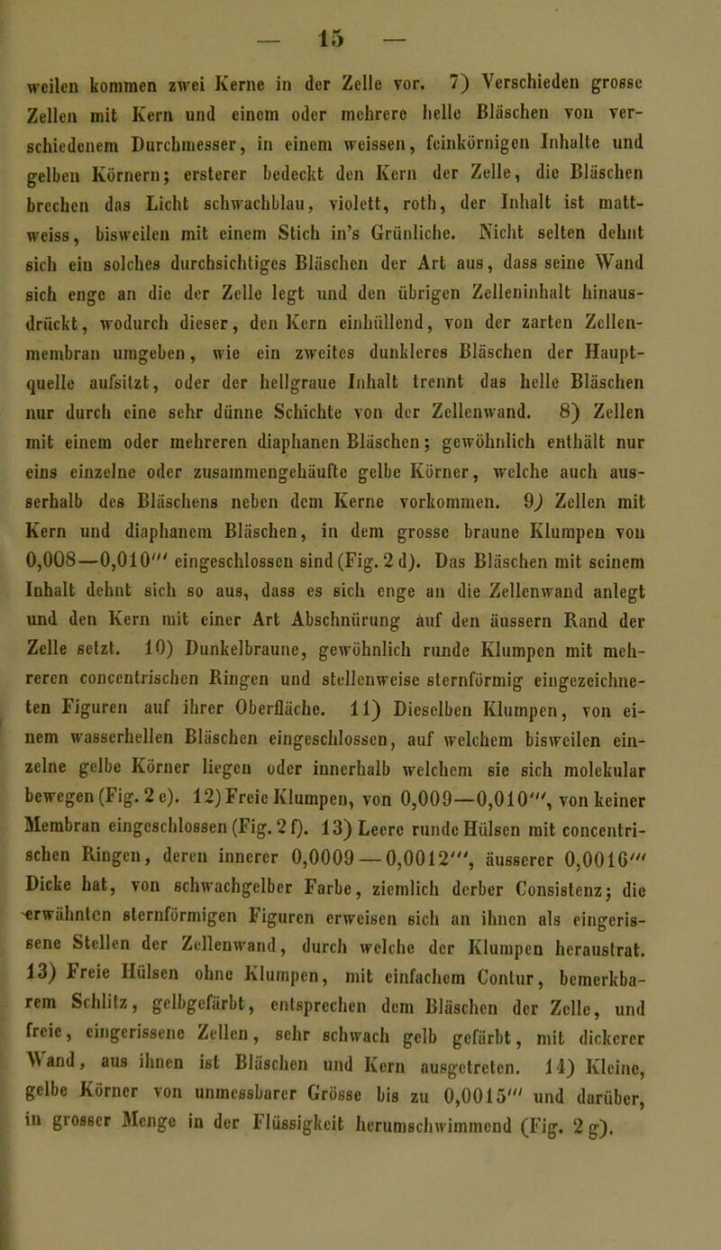 weileu kommen zwei Kerne in der Zelle vor. 7) Verschieden grosse Zellen mit Kern und einem oder mehrere hello Bläschen von ver- schiedenem Durchmesser, in einem weissen, feinkörnigen Inhalte und gelben Körnern; ersterer bedeckt den Kern der Zelle, die Bläschen brechen das Licht schwachblau, violett, roth, der Inhalt ist matt- weiss, bisweilen mit einem Stich in's Grünliche. Nicht selten dehnt sich ein solches durchsichtiges Bläschen der Art aus, dass seine Wand sich enge an die der Zelle legt und den übrigen Zelleninhalt hinaus- driickt, wodurch dieser, den Kern einhüllend, von der zarten Zellen- membran umgeben, wie ein zweites dunkleres Bläschen der Haupt- quelle aufsitzt, oder der hellgraue Inhalt trennt das helle Bläschen nur durch eine sehr dünne Schichte von der Zellenwand. 8) Zellen mit einem oder mehreren diaphanen Bläschen; gewöhnlich enthält nur eins einzelne oder zusammengehäufte gelbe Körner, welche auch aus- serhalb des Bläschens neben dem Kerne vorkommen. 9^ Zellen mit Kern und diaphanem Bläschen, in dem grosse braune Klumpen von 0,008—0,010' eingeschlossen sind (Fig. 2 d). Das Bläschen mit seinem Inhalt dehnt sich so aus, dass es sich enge an die Zellenwand anlegt und den Kern mit einer Art Abschnürung auf den äussern Rand der Zelle setzt. 10) Dunkelbraune, gewöhnlich runde Klumpen mit meh- reren concenlrischen Ringen und stellenweise sternförmig eingezeichne- ten Figuren auf ihrer Oberfläche. 11) Dieselben Klumpen, von ei- nem wasserhellen Bläschen eingeschlossen, auf welchem bisweilen ein- zelne gelbe Körner liegen oder innerhalb welchem sie sich molekular bewegen (Fig. 2 e). 12) Freie Klumpen, von 0,009—0,010', von keiner Membran eingeschlossen (Fig. 2 f). 13) Leere runde Hülsen mit concenlri- schen Ringen, deren innerer 0,0009 — 0,0012', äusserer 0,00IG' Dicke hat, von schwachgelbcr Farbe, ziemlich derber Consislenz; die -«rwähntcn sternförmigen Figuren erweisen sich an ihnen als eingeris- sene Stellen der Zellenwand, durch welche der Klumpen heraustrat. 13) Freie Hülsen ohne Klumpen, mit einfachem Contur, bemerkba- rem Schlitz, gelbgefärbt, entsprechen dem Bläschen der Zelle, und freie, eingerissene Zellen, sehr schwach gelb gefärbt, mit dickerer Wand, aus ihnen ist Bläschen und Kern ausgetreten. 14) Kleine, gelbe Körner von unmessbarer Grösse bis zu 0,0015' und darüber, in grosser Menge in der Flüssigkeit herumschwimmend (Fig. 2 g).