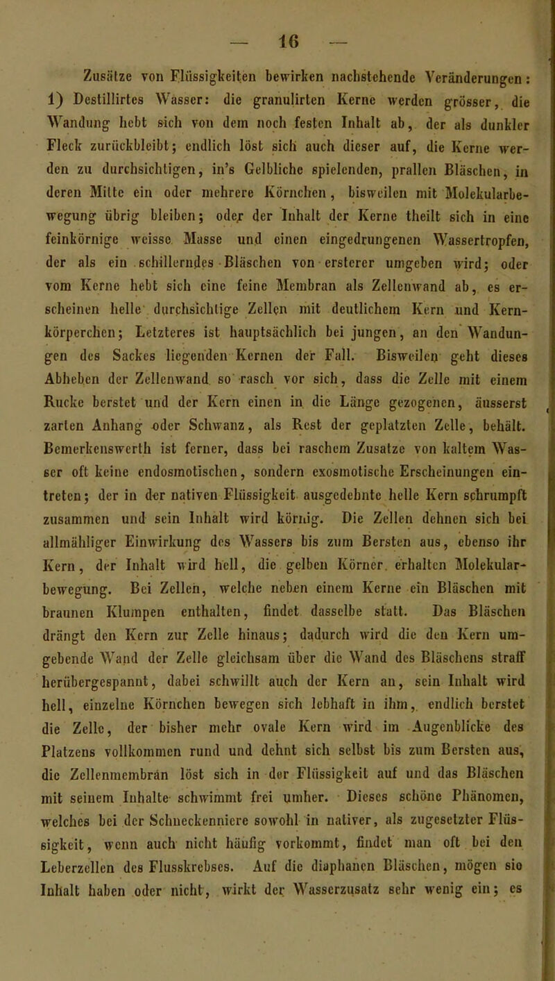 Zusätze von Flüssigkeiten bewirken nachstehende Veränderungen: 1) Destillirtes Wasser: die granulirlen Kerne werden grösser, die Wandung hebt sich von dem noch festen Inhalt ab, der als dunkler Fleck zurückbleibt; endlich löst sich auch dieser auf, die Kerne wer- den zu durchsichtigen, in's Gelbliche spielenden, prallen Bläschen, in deren Milte ein oder mehrere Körnchen, bisweilen mit Molekularbe- wegung übrig bleiben; odef der Inhalt der Kerne theilt sich in eine feinkörnige weisse Masse und einen eingedrungenen Wassertropfen, der als ein sehülerudes Bläschen von erstcrer umgeben wird; oder vom Kerne hebt sich eine feine Membran als ZellenAvand ab, es er- scheinen helle durchsichtige Zellen mit deutlichem Kern und Kern- körperchen; Letzteres ist hauptsächlich bei jungen, an den Wandun- gen des Sackes liegenden Kernen der Fall. Bisweilen geht dieses Abheben der Zellenwand so rasch vor sich, dass die Zelle mit einem Rucke berstet und der Kern einen in. die Länge gezogenen, äusserst zarten Anhang «der Schwanz, als Rest der geplatzten Zelle, behält. Bemerkenswerth ist ferner, dass bei raschem Zusätze von kaltem Was- ser oft keine endosraotischen, sondern exosmotische Erscheinungen ein- treten; der in d<;r nativen Flüssigkeit ausgedehnte helle Kern schrumpft zusammen und sein Inhalt wird körnig. Die Zellen dehnen sich bei allmähliger Einwirkung des Wassers bis zum Bersten aus, ebenso ihr Kern, der Inhalt wird hell, die gelben Körner, erhalten Molekular- bewegung. Bei Zellen, welche nebfn einem Kerne ein Bläschen mit braunen Klumpen enthalten, findet dasselbe statt. Das Bläschen drängt den Kern zur Zelle hinaus; dadurch wird die den Kern um- gebende Wand der Zelle gleichsam über die Wand des Bläschens straff herübergespannt, dabei schwillt auch der Kern an, sein Inhalt wird hell, einzelne Körnchen bewegen sich lebhaft in ihm, endlich berstet die Zelle, der bisher mehr ovale Kern wird im Augenblicke des Platzens vollkommen rund und dehnt sich selbst bis zum Bersten aus, die Zellenmembrän löst sich in der Flüssigkeit auf und das Bläschen mit seinem Inhalte schwimmt frei umher. Dieses schöne Phänomen, welches bei der Schueckenniere sowohl in ualiver, als zugesetzter Flüs- sigkeit, wenn auch nicht häufig vorkommt, findet man oft bei den Leberzcllen des Flusskrebses. Auf die diapliancn Bläschen, mögen sio Inhalt haben oder nicht, wirkt der Wasserzusatz sehr wenig ein; es