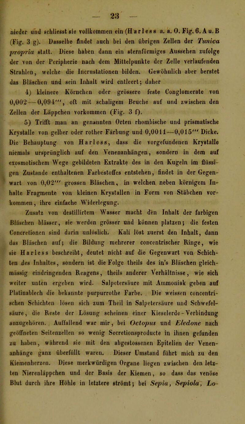 uieder iniü schliesst sie vollkommen ein (Harless u. a. 0, Fig.6. Au.B (Fig. 3 g). Dasselbe findet auch bei den übrigen Zellen der Tunica propria stutt. Diese haben dann ein sternförmiges Aussehen zufolge der von der Peripherie nach dem Mittelpunkte der Zelle verlaufenden Strahlen, welche die Incrustationen bilden. Getvöhnlich aber berstet das Bläschen und sein Inhalt wird entleert; daher 4) kleinere Körnchun oder grössere feste Conglomerate von 0,002 — 0,094', oft mit schaligem Bruche auf und zwischen den Zellen der Läppchen vorkommen (Fig. 3 Q. 5) Trifft man an genannten Orten rhombische und prismatische Krystalle von gelber oder rother Färbung und 0,0011—0,015' Dicke. Diu Behauptung von Harless, dass die vorgefundenen Krystalle niemals ursprünglich auf den Yenenanhängen, sondern in dem auf exosmotischem Wege gebildeten Extrakte des in den Kugeln im flüssi- gen Zustande enthaltenen Farbcstofics entstehen, findet in der Gegen- wart von 0,02' grossen Bläschen, in welchen neben körnigem In- halte Fragmente von kleinen Krystallen in Form von Stäbchen vor- kommen, ihre einfache Widerlegung. Zusatz von destillirtem Wasser macht den Inhalt der farbigen Bläschen blässcr, sie werden grösser und können platzen; die festen Concretionen sind darin unlöslich. Kali löst zuerst den Inhalt, dann das Bläschen auf; die Bildung mehrerer conccntrischer Ringe, wie sie Harless beschreibt, deutet nicht auf die Gegenwart von Schich- ten des Inhaltes, sondern ist die Folge theils des in's Bläschen gleich- massig eindringenden Reagens, theils anderer Verhältnisse, wie sich weiter unten ergeben wird. Salpetersäure mit Ammoniak geben auf Platinablerh die bekannte purpurrolhe Farbe. Die weissen concentri- schen Schichten lösen sich zum Thcil in Salpetersäure und Schwefel- säure, die Reste der Lösung scheinen einer Kieselerde-Verbindung anzugehören. Auffallend war mir, bei Octoptis und Eledone nach geöffneten Seitcnzellcn so wenig Secretionsproducte in ihnen gefunden zu haben, während sie mit den abgestossenen Epitelien der Venen- anhänge ganz überfüllt waren. Dieser Umstand führt mich zu den Kiemenherzen. Diese merkwürdigen Organe liegen zwischen den letz- ten Nierenläppchen und der Basis der Kiemen, so dass das venöse Blut durch ihre Höhle in letztere strömt; bei Sepia, Sepiola, Lo-