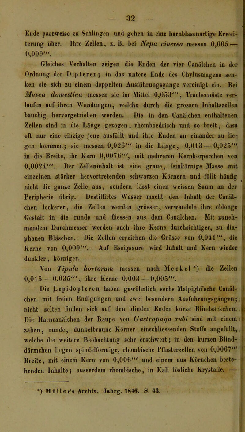 Ende paarweise zu Schlingen und gehen in eine harnblasenartige Erwei- terung über. Ihre Zellen, z. B. bei Nej)a cinerea messen 0,005 — 0,009'. Gleiches Verhalten zeigen die Enden der vier Canälchen in der Ordnung der Dipteren; in das untere Ende des Chylusmagens sen- ken sie sich zu einem doppelten Ausführungsgange vereinigt ein. Bei Musca domestica messen sie im Mittel 0,053', Tracheenäste ver- laufen auf ihren Wandungen, welche durch die grossen Inhaltszellea bauchig hervorgetrieben werden. Die in den Canälchen enthaltenen Zellen sind in die Länge gezogen, rhomboedrisch und so breit, dass oft nur eine einzige jene ausfüllt und ihre Enden an einander zu lie- gen kommen; sie messen 0,026' in die Länge, 0,013 — 0,025' in die Breite, ihr Kern 0,0076', mit mehreren Ivernkörperchen von 0,0024'. Der Zelleninhalt ist eine graue, feinkörnige Masse mit einzelnen stärker hervortretenden schwarzen Körnern und füllt häufig nicht die ganze Zelle aus, sondern lässt einen weissen Saum an der Peripherie übrig. Destillirtes Wasser macht den Inhalt der Canäl- chen lockerer, die Zellen werden grösser, verwandeln ihre oblonge Gestalt in die runde und iiiessen aus dem Canälchen. Mit zuneh- mendem Durchmesser werden auch ihre Kerne durchsichtiger, zu dia- phanen Bläschen. Die Zellen erreichen die Grösse von 0,041', die Kerne von 0,009'. Auf Essigsäure wird Inhalt und Kern wieder dunkler, körniger. Von Tipula hortorum messen nach Meckel*) die Zellen t 0,015 —0,035', ihre Kerne 0,003 — 0,005'. Die Jjcpidopteren haben gewöhnlich sechs Malpighi'sche Canäl- chen mit freien Endigungen und zwei besondern Ausführungsgängen;, nicht selten finden sich auf den blinden Enden kurze Blindsäckchen.. Die Harncanälchen der Raupe von Gastropaga vtibi sind mit einem i zähen, runde, dunkelbraune Kürner einschliessenden Stoffe angefüllt,, welche die weitere Beobachtung sehr erschwert; in den kurzen Blind-- därmchen liegen spindelförmige, rhombische Pflasterücllen von 0,0067 Breite, mit einem Kern von 0,006' und einem aus Körnchen beste-- hcndeu Inhalte; ausserdem rhombische, in Kali lösliche Krystalle. *) Mülle 1^8 Archiv. Jahrg. 1846. S. 43.