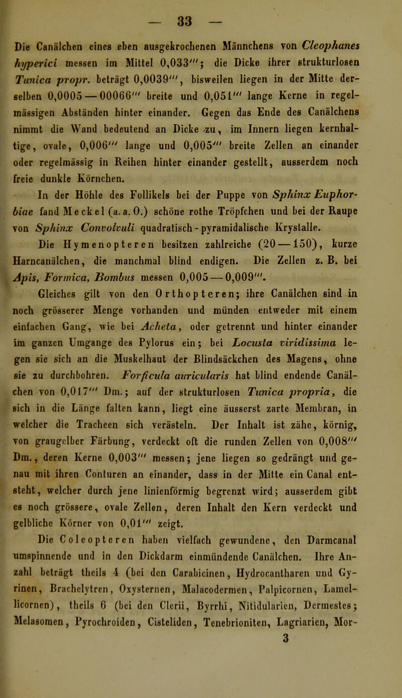 Die Canälchen eines eben ausgekrochenen Männchens von Cleophanes hyperici messen im Mittel 0,033'; die Dicke ihrer strukturlosen Tunica propr. beträgt 0,0039', bisweilen liegen in der Mitte der- selben 0,0005 — 00066' breite und 0,051' lange Kerne in regel- mässigen Abständen hinter einander. Gegen das Ende des Canälchens nimmt die Wand bedeutend an Dicke zu, im Innern liegen kernhal- tige, ovale, 0,006' lange und 0,005' breite Zellen an einander oder regelmässig in Reihen hinter einander gestellt, ausserdem noch freie dunkle Körnchen. In der Höhle des Follikels bei der Puppe von Sphinx Euphor- biae fand Meckel (a.a.O.) schöne rothe Tröpfchen und bei der Raupe von Sphinx Convolvuli quadratisch-pyramidalische Kryslalle. Die Hymenopteren besitzen zahlreiche (20 —150), kurze Harncauälchen, die manchmal blind endigen. Die Zellen z. B. bei Apis, Formica, Bombus messen 0,005 — 0,009'. Gleiches gilt von den Orthopteren; ihre Canälchen sind in noch grösserer Menge vorhanden und münden entweder mit einem einfachen Gang, wie bei Acheta, oder getrennt und hinter einander im ganzen Umgange des Pylorus ein; bei Locusla viridissima le- gen sie sich an die Muskelhaut der Blindsäckchen des Magens, ohne sie zu durchbohren. Forficula auricularis hat blind endende Canäl- chen von 0,017' Dm.; auf der strukturlosen Tunica jnopria, die sich in die Länge falten kann, liegt eine äusserst zarte Membran, in welcher die Tracheen sich verästeln. Der Inhalt ist zähe, körnig, von graugdber Färbung, verdeckt oft die runden Zellen von 0,008' Dm., deren Kerne 0,003' messen; jene liegen so gedrängt und ge- nau mit ihren Conluren an einander, dass in der Mitte ein Canal ent- steht, welcher durch jene linienförmig begrenzt wird; ausserdem gibt es noch grössere, ovale Zellen, deren Inhalt den Kern verdeckt und gelbliche Körner von 0,01' zeigt. Die Coleoptcrcn haben vielfach gewundene, den Darmcanal umspinnende und in den Dickdarm einmündende Canälchen. Ihre An- zahl beträgt thcils 4 (bei den Carabicinen, Hydrocanlharen und Gy- rinen, Brachelytren, Oxysternen, Malacodermen, Palpicornen, Lamel- licorncn), theils 6 (bei den Clcrii, Byrrhi, Nitidularicn, Dcrmestes; Melasomen, Pyrochroiden, Cistelidcn, Tenebrioniten, Lagriaricn, Mor- 3 k