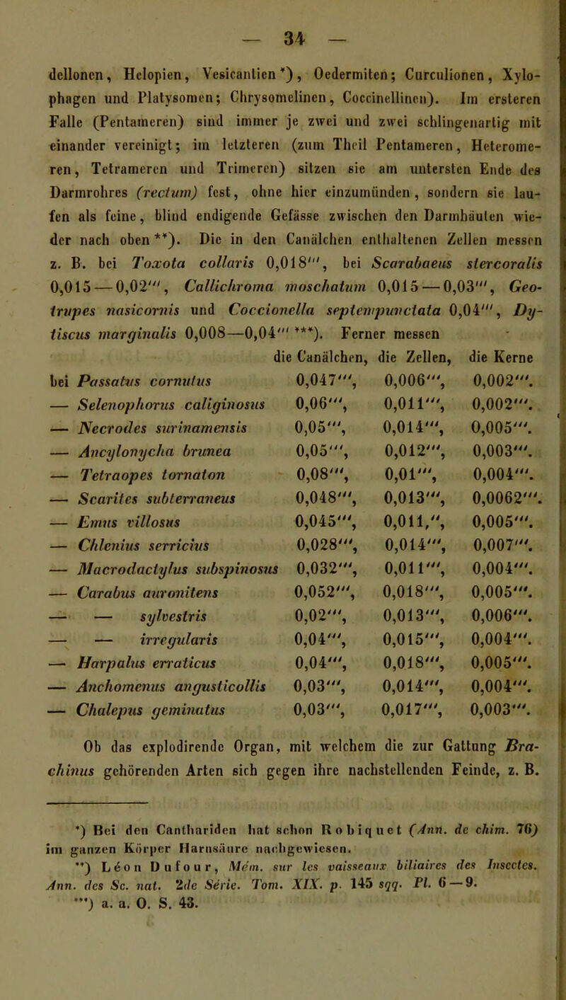 (lelloncn, Helopien, Vesicaiilicn *), Oedermiten; Curculionen, Xylo- phagen und Plalysomcn; Chrysomelinen, Coccinellincii). Im ersleren Falle (Pentaineren) sind immer je zwei und zwei schlingenartig mit einander vereinigt; im letzteren (zum Tluil Pentameren, Hctcrome- ren, Tetramercn und Trimeren) sitzen sie am untersten Ende des Darmrolires (recium) fest, ohne hier einzumünden, sondern sie lau- fen als feine, blind endigende Gefässe zwischen den Darmhäuten wie- der nach oben **). Die in den Canälchen enthaltenen Zellen messen z. B. bei Toxota collaris 0,018', bei Scarabaeus stercoralis 0,015 — 0,02', CalUchroma woschatum 0,015 — 0,03', Geo- irupes nasicornis und Coccionella septevipuvciaia 0,04', Dy- iiscus marginalis 0,008—0,04' ***). Ferner messen die Canälchen, die Zellen, die Kerne bei Passatt/s cornutus 0,047', 0,006', 0,002'. Selenophorus caliginosiis 0,06', 0,011', 0,002'. Necrodes surinamensis 0,05', 0,014', 0,005'. Ancylonyclia hrunea 0,05', 0,012', 0,003'. Telraopes tornaton 0,08', 0,01', 0,004'. Scaritcs subterraiieus 0,048', 0,013', 0,0062 Emus villosus 0,045', 0,011,, 0,005'. CItlenius serrichts 0,028', 0,014', 0,007'. Macrodactylus siibspinosiis 0,032', 0,011', 0,004'. Carabus auronitens 0,052', 0,018', 0,005'. ■ — sylvestris 0,02', 0,013', 0,006'. — irregularis 0,04', 0,015', 0,004'. Harpahis erraticus 0,04', 0,018', 0,005'. Anchomcnus angusticollis 0,03', 0,014', 0,004'. Chalepus geminutus 0,03', 0,017', 0,003'. Ob das explodirendc Organ, mit \relchem die zur Gattung Bra- chinus gehörenden Arten sich gegen ihre nachstellenden Feinde, z. B. ') Bei den Cantliariden hat selinn Robiquct (Ann. de chim. 76) Im ganzen Körper Harnsäure naehgewiesen. ) L^on Dufour, Mem. sur Zcs vaisseavT biltaiies des Iiiscctes. Ann. des Sc. nat. 'ide Serie. Tom. XIX. p. Hb sqq. PI. 6 — 9. a. a. 0. S. 43.