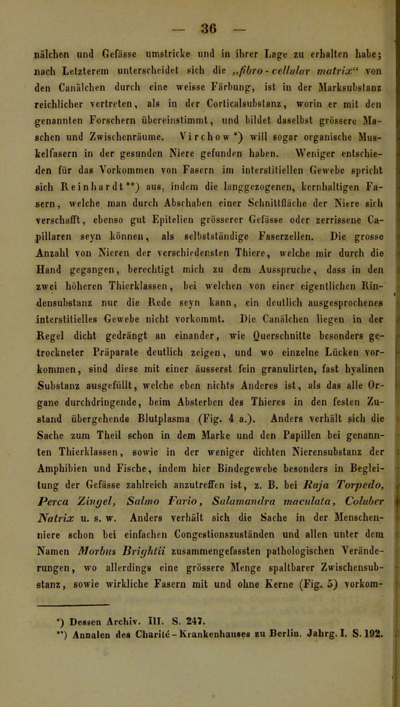 Bälchen und Gefässe umstriclie und in ihrer Lage zu crhaltrn habe; nach Lelzterem unterscheidet sich die „fibro ■ cellulur matrix von den Canälchen durch eine weisse Färbung^, ist in der Marksubstanz reichlicher vertreten, als in der Corticalsubslanz, worin er mit den genannten Forschern übereinstimmt, und bildet daselbst grössere Ma- schen und Zwischenräume. Virchow*) will sogar organische Mus- kelfasern in der gesunden Niere gefunden haben. Weniger entschie- den für das Vorkommen von Fasern im interstitiellen Gewebe spricht sich Reinhardt**) aus, indem die langgezogenen, kernhaltigen Fa- sern, welche man durch Abschaben einer Schnittfläche der Nitre sich verschafft, ebenso gut Epitelien grösserer Gefässe oder zerrissene Ca- pillaren seyn können, als selbstständige Faserzellen. Die grosse Anzahl von Nieren der verschiedensten Thiere, welche mir durch die Hand gegangen, berechtigt mich zu dem Ausspruche, dass in den zwei höheren Thicrklasscn, bei welchen von einer eigentlichen Rin- densubstanz nur die Rede seyn kann, ein deutlich ausgesprochenes interstitielles Gewebe nicht vorkommt. Die Canälchen liegen in der Regel dicht gedrängt an einander, wie Querschnitte besonders ge- trockneter Präparate deutlich zeigen, und wo einzelne Lücken vor- kommen, sind diese mit einer äusserst fein granulirten, fast hyalinen Substanz ausgefüllt, welche eben nichts Anderes ist, als das alle Or- gane durchdringende, beim Absterben des Thicres in den festen Zu- stand übergehende Blutplasma (Fig. 4 a.). Anders verhält sich die Sache zum Theil schon in dem Marke und den Papillen bei genann- ten Thierklassen, sowie in der weniger dichten Nierensubstanz der Amphibien und Fische, indem hier Bindegewebe besonders in Beglei- tung der Gefässe zahlreich anzutreffen ist, z. B. bei Raja Torpedo, Perca Zivgel, Saltno Fario, Sulamandra macidata, Coluber Natrix \i. 8. w. Anders verhält sich die Sache in der Menscheu- niere schon bei einfachen Congcstionszuständen und allen unter dem Namen Morbus Brightii zusammengefassten pathologischen Verände- rungen, wo allerdings eine grössere Menge spaltbarer Zwischensub- stanz, sowie wirkliche Fasern mit und ohne Kerne (Fig. 5) vorkom- ') Dessen Archiv. III. S. 247. *') Annalen des Cbaritc - Krankenhauses eu Berlin. Jahrg. I. S. 192.