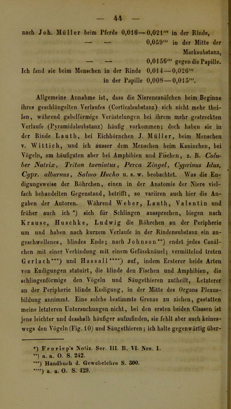 nach Joh. Müller beim Pferde 0,016—0,021' in der Rinde, — — 0,059' in der Mitte der Marksubstanz, — — 0,0156' gegen die Papille. Ich fand sie beim Menschen in der Rinde 0,014 — 0,026' in der Papille 0,008 — 0,015'. Allgemeine Annahme ist, dass die Nierencanälchcn beim Beginne ihres geschlängeltcn Verlaufes (Corticalsubstanz) sich nicht mehr thei- len, während gabelfurmige Verästelungen bei ihrem mehr gestreckten Verlaufe (Pyramidalsubstanz) häufig vorkommen; doch haben sie in der Rinde Lauth, bei Eichhörnchen J. Müller, beim Menschen V. Witt ich, und ich ausser dem Menschen beim Kaninchen, bei Vögeln, am häufigsten aber bei Amphibien und Fischen, z. B. Colu- ber Natrix, Triton taeniahis, Perca Zingel, Cyprinm Idus, Cypr, alLurmis, Salriio Hucho u. s. \r. beobachtet. Was die En- digungsweisc der Röhrchen, einen in der Anatomie der Niere viel- fach behandelten Gegenstand, betrifft, so variiren auch hier die An- gaben der Autoren. Während Weber, Lauth, Valentin und früher auch ich *) sich für Schlingen aussprechen, biegen nach Krause, Huschke, Ludwig die Röhrchen an der Peripherie um und haben nach kurzem Verlaufe in der Rindensubstanz ein an- geschwollenes, blindes Ende; nach Johnson**) endet jedes Canäl- chen mit einer Verbindung mit einem Gefässknäuel; vermittelnd treten Gerlach***) und Hassali****) auf, indem Ersterer beide Arten von Endigungen statuirt, die blinde den Fischen und Amphibien, die schlingenförmige den Vögeln und Säugelhieren zutheilt. Letzterer au der Peripherie blinde Endigung, in der Mitte des Organs Plexus- bildung annimmt. Eine solche bestimmte Grenze zu ziehen, gestatten meine letzteren Untersuchungen nicht, bei den ersten beiden Classen ist jene leichter und desshalb häufiger aufzufinden, sie fehlt aber auch keines- wegs den Vögeln (Fig. 10) und Säugethieren; ich halte gegenwärtig über- ♦) Froriep's Noliz. Ser. III. B. VI. Nro. 1. ••) a. a. 0. S. 242. •) Handbuch d. Gewebelehre S. 300. ••) a. a. 0. S. 429.