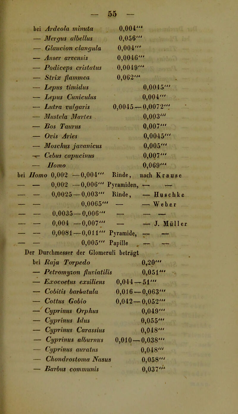 bei Ardeola mimita 0,004* — Mergm ulbellus 0,056' — Glaucion clangula 0,004* — Auser arvensis 0,0046' — Podiceps cristaüis 0,0049' — Strix flatmnea 0,062' — Lepus timidus 0,0045' — Lepus Cuniculus 0,004' — Lntra vulgaris 0,0045 — 0,0072.' — Mustela BJarles 0,003' — Bos Taurus 0,007' — Otis Aries 0,0045' — Mosclms javavicus 0,005' Cebus capticiims 0,007' — Homo 0,069' bei Homo 0,002 —0,004' Rinde, nach Krause — — 0,002 —0,006' Pyramiden, ^ — — — 0,0025—0,003' Rinde, — Huschke — — 0,0065' — —Weber — — 0,0035—0,006' — — — _ _ 0,004 —0,007' — — J. Müller — — 0,0081—0,011' Pyramide, — — — 0,005' Papille , — — Der Durchmesser der Glomeruli beträgt bei Raja Torpedo 0,20' — Petromyzon flumatilis 0,051' — Exocoetus exsiliens 0,044 — 51' — Cobilis barhatula 0,016 — 0,063' — Coitus Gobio 0,042 — 0,052' — Cyprinus Orp/ius 0,049' — Cyprinus Idus 0,055' — Cyprinus Carassius 0,048' — Cyprinus albumus 0,010 — 0,038' — Cyprinus auratns 0,048' — C/iondrosloma Nasus 0,058' — Barbus communis 0,037*