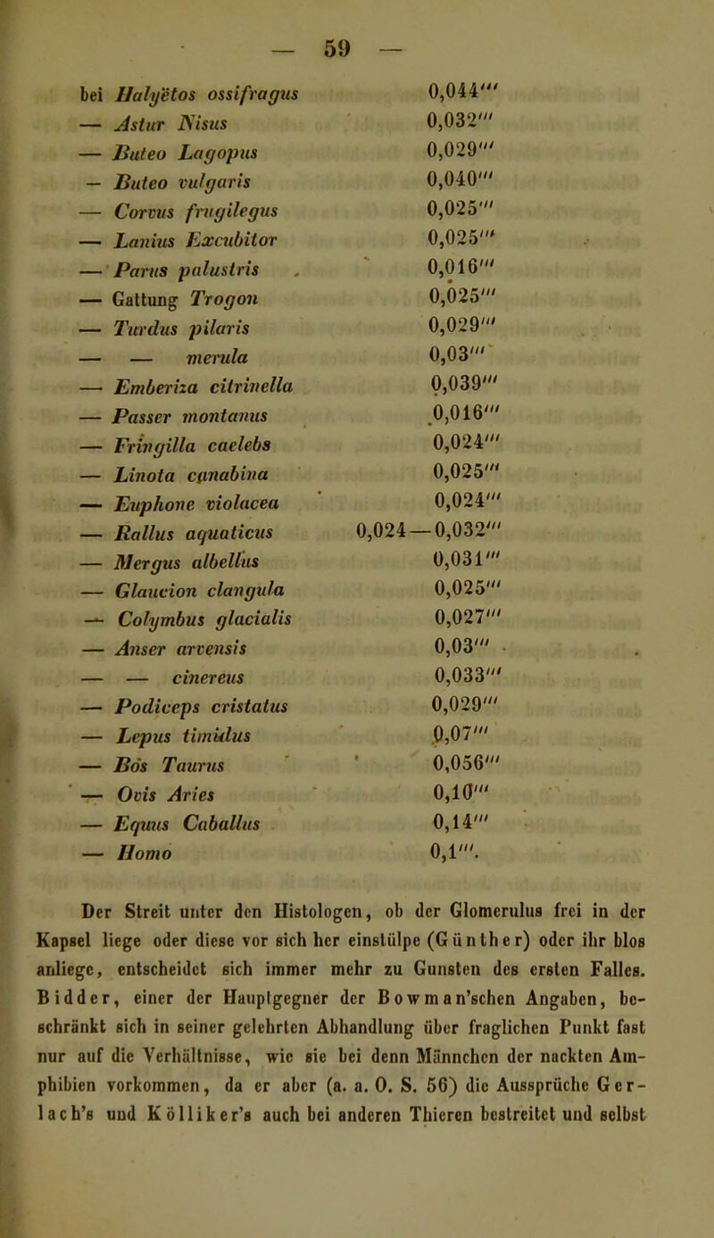 bei Hahßtos ossifragus 0,044' — Astur JSisus 0,032' — Buteo Lagopus 0,029' - Buteo vulgaris 0,040' — Corms frvgilegus 0,025' — Lanius Excubitor 0,025' — Parus palustris . 0,016' — Galtung Trogon 0,025' — Turdus pilaris 0,029' — — memla 0,03' — Emberiza citrivella 0,039' — Passer montaniis 0,016' — Frivgilla caelebs 0,024 — Linola ciinabina 0,025 — Enphone violacea ' 0,024' — Rallus aquaticus 0,024 — 0,032' — Mergus albellm 0,031' — Glaucion clangula 0,025' — Colymbus glacialis 0,027' — Anser arvensis 0,03' — — cinereus 0,033' — Podiceps cristatus 0,029' — Lepus timklus .0,07' — Bös Taurus 0,056' — Ovis Aries 0,10' — Eqmis Caballus 0,14' — Homo 0,1'. /// IN Der Streit unter den Histologen, ob der Glomcrulus frei in der Kapsel liege oder diese vor sich her einstülpe (Günther) oder ihr blos anliege, entscheidet sich immer mehr zu Gunsten des ersten Falles. Bidder, einer der Hauptgegner der Bowman'schen Angaben, be- schränkt sich in seiner gelehrten Abhandlung über fraglichen Punkt fast nur auf die Verhältnisse, wie sie bei denn Männchen der nackten Am- phibien vorkommen, da er aber (a. a. 0. S. 66) die Aussprüche Ger- lach's und Kölliker's auch bei anderen Thicrcn bestreitet und selbst