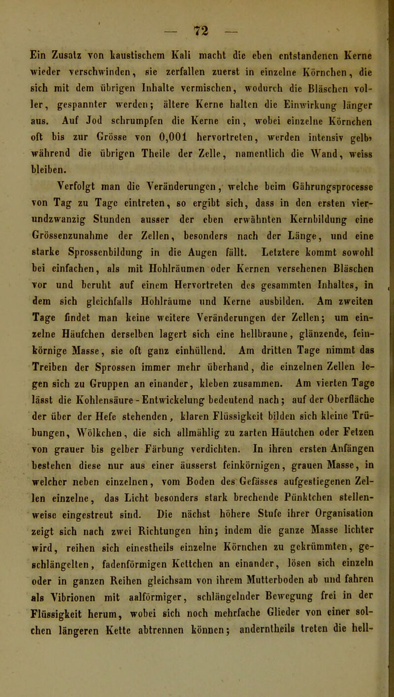 Ein Zusatz von liaustischcm Kali macht die eben entstandenen Kerne wieder verschwinden, sie zerfallen zuerst in einzelne Körnchen, die sich mit dem übrigen Inhalte vermischen, wodurch die Bläschen vol- ler, gespannter werden; ältere Kerne halten die Ein^yi^l(ung länger aus. Auf Jod schrumpfen die Kerne ein, wobei einzelne Körnchen oft bis zur Grösse von 0,001 hervortreten, werden intensiv gelb» während die übrigen Theile der Zelle, namentlich die Wand, weiss bleiben. Verfolgt man die Veränderungen, welche beim Gährungsprocesse von Tag zu Tage eintreten, so ergibt sich, dass in den ersten vier- undzwanzig Stunden ausser der eben erwähnten Kernbiidung eine Grössenzunahme der Zellen, besonders nach der Länge, und eine starke Sprossenbildung in die Augen fällt. Letztere kommt sowohl bei einfachen, als mit Hohlräumen oder Kernen versehenen Bläschen vor und beruht auf einem Hervortreten des gesammten Inhaltes, in dem sich gleichfalls Hohlräume und Kerne ausbilden. Am zweiten Tage findet man keine weitere Veränderungen der Zellen; um ein- zelne Häufchen derselben lagert sich eine hellbraune, glänzende, fein- körnige Masse, sie oft ganz einhüllend. Am dritten Tage nimmt das Treiben der Sprossen immer mehr überhand, die einzelnen Zellen le- gen sich zu Gruppen an einander, kleben zusammen. Am vierten Tage lässt die Kohlensäure -Entwickelung bedeutend nach; auf der Oberfläche der über der Hefe stehenden, klaren Flüssigkeit bilden sich kleine Trü- bungen, Wölkchen, die sich allmählig zu zarten Häutchen oder Fetzen von grauer bis gelber Färbung verdichten. In ihren ersten Anfängen bestehen diese nur aus einer äusserst feinkörnigen, grauen Masse, in welcher neben einzelnen, vom Boden des Gefässes aufgestiegenen Zel- len einzelne, das Licht besonders stark brechende Pünktchen stellen- weise eingestreut sind. Die nächst höhere Stufe ihrer Organisation zeigt sich nach zwei Richtungen hin; indem die ganze Masse lichter wird, reihen sich eincstheils einzelne Körnchen zu gekrümmten, ge- Bchlängclten, fadenförmigen Keltchen an einander, lösen sich einzeln oder in ganzen Reihen gleichsam von ihrem Mutterboden ab und fahren als Vibrionen mit aalförmiger, schlängelnder Bewegung frei in der Flüssigkeit herum, wobei sich noch mehrfache Glieder von einer sol- chen längeren Kette abtrennen können; andernlheils treten die hell-