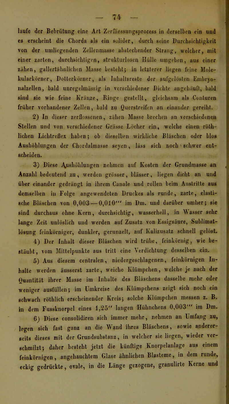laufe der Bebrütung eine Art Zcruiessiingsprocess in derselben ein und es erscheint die Chorda als ein sulider, durch suiiic Durchsichtigkeit TOD der umliegenden Zcllenmasse ubslecliender Strang, nelcher, mit einer zarten, durchsichligrn, strukturlosen Hülle umgeben, aus einer zähen, gallertähnlichen Masse besteht; in letzterer liegen feine Mole- kularkörncr, Dotterkorner, als Inhaltsreste der aufgelösten Embryo- nalzellen, bald uuregelmässig in verschiedener Dichte angehäuft, bald sind sie wie feine Kränze, Ringe gestellt, gleichsam als Cunluren früher vorhandener Zellen, bald zu Querstreifen an einander gereiht. 2) In dieser zerflossenen, zähen Masse brechen an verschiedenen Stellen und von verschiedener Grässc Löcher ein, welche einen röth- lichen Lichtrcilcx haben; ob dieselben wirkliche Bläschen oder blos Aushöhlungen der Chordalmasse Seyen , läss eich noch' schwer ent- scheiden. 3) Diese ^Aushöhlungen nehmen auf Kosten der Grundmasse an Anzahl bedeutend zu, fl-erdcn grösser, blässer, liegen dicht an und über einander gedrängt in ihrem Canale und rollen beim Austritte aus demselben in Folge angewendeten Druckes als runde, zarte, elasti- sche Bläschen von 0,003 — 0,010' im Dm. und darüber umher; sie sind durchaus ohne Kern, durchsichtig, wasserhell, in Wasser sehr lange Zeil unlöslich und werden auf Zusatz von Essigsäure, Sublimat- lösung feinkörniger, dunkler, gerunzelt, auf Kalizusatz schnell gelöst. 4) Der Inhalt dieser Bläschen wird trübe, feinkörnig, wie be- stäubt, vom Mittelpunkte aus tritt eine Verdichtung desselben ein. 5) Aus diesem centralen, niedergeschlagenen, feinkörnigen In- halte werden äusserst zarte, weiche Klümpchen, welche je nach der Quantität ihrer Masse im Inhalte des Bläschens dasselbe mehr oder weniger ausfüllen; im Umkreise des Klümpchens zeigt sich noch ein schwach röthlich erscheinender Kreis; solche Klümpchen messen z. B. in dem Fusskuorpel eines 1,25 langen Hühnchens 0,003' im Dm. 6) Diese consolidiren sich immer mehr, nehmen an Umfang zu, legen sich fast ganz an die Wand ihres Bläschens, sowie anderer- seits dieses mit der Grundsubslanz, in welcher sie liegen, wieder ver- schmilzt; daher besteht jetzt die künftige Knorpelanlage aus einem feinkörnigen, angehauchtem Glase ähnlichen Blasteme, in dem runde, eckig gedrückte, ovale, in die Länge gezogene, granuUrte Kerne und