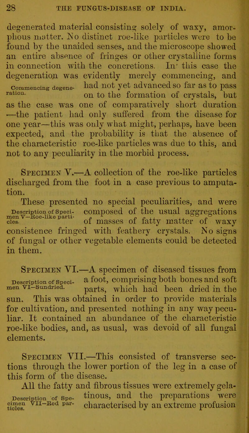 degenerated material consistins^ solely of waxy, amor- phous mutter. No distinct roe-like particles were to be found by the unaided senses, and the microscope showed an entire absence of fringes or other crystalline forms in connection with the concretions. In* this case the degeneratioji was evidently merely commencing, and cpminencmg degene- ^ad not yct advanced so far as to pass on to the formation of crystals, but as the case was one of comparatively short duration —the patient had only suffered from the disease for one year—this was only what might, perhaps, have been expected, and the probability is that the absence of the characteristic roe-like particles was due to this, and not to any peculiarity in the morbid process. Specimen V.—A collection of the roe-like particles discharged from the foot in a case previous to amputa- tion. These presented no special peculiarities, and were Description of speci- composed of the usual aggreo;ations men V—Koe-like parti- „ ^ n o ii /» cies. or masses oi latty matter oi waxy consistence fringed with feathery crystals. No signs of funga in them. of fungal or other vegetable elements could be detected Specimen VI.—A specimen of diseased tissues from Description of Speci- ^ foot, Comprising both bones and soft men vi-sundried. parts, which had been dried in the sun. This was obtained in order to provide materials for cultivation, and presented nothing in any way pecu- liar. It contained an abundance of the characteristic roe-like bodies, and, as usual, was devoid of all fungal elements. Specimen VII.—This consisted of transverse sec- tions through the lower portion of the leg in a case of this form of the disease. All the fatty and fibrous tissues were extremely gela- Desoription of spe- tiuous, and the preparations were P'^ characterised by an extreme profusion