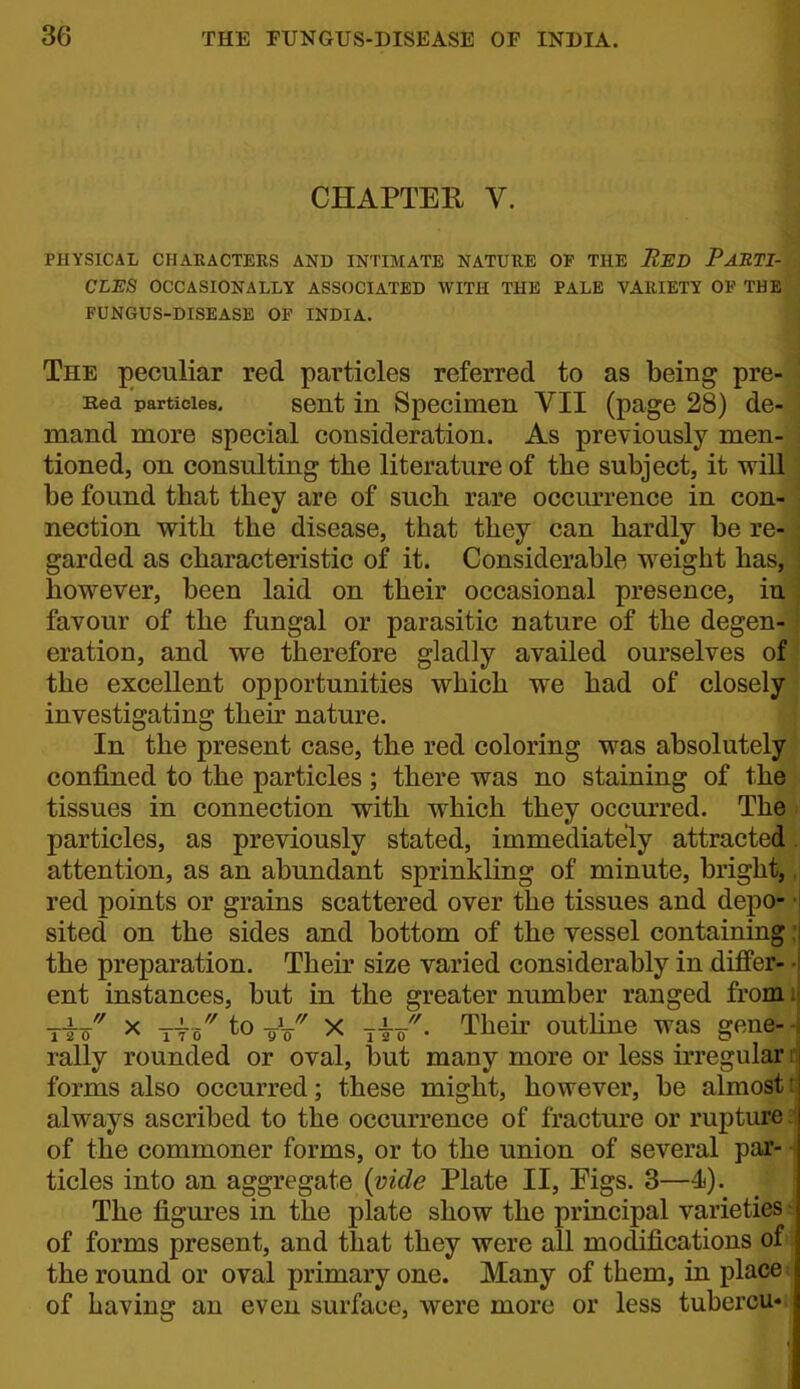 CHAPTER V. PHYSICAL CHARACTERS AND INTIMATE NATURE OF THE ReB PaETI- CLE8 OCCASIONALLY ASSOCIATED WITH THE PALE VARIETY OF THE FUNGUS-DISEASE OF INDIA. The peculiar red particles referred to as being pre- Ked particles. sent in Specimen VII (page 28) de- mand more special consideration. As previously men- tioned, on consulting the literature of the subject, it will be found that they are of such rare occurrence in con- nection w^ith the disease, that they can hardly be re- garded as characteristic of it. Considerable weight has, however, been laid on their occasional presence, in favour of the fungal or parasitic nature of the degen- eration, and we therefore gladly availed ourselves of the excellent opportunities which we had of closely investigating theu' nature. In the present case, the red coloring was absolutely confined to the particles ; there was no staining of the tissues in connection with which they occurred. The particles, as previously stated, immediately attracted. attention, as an abundant sprinkhng of minute, bright, red points or grains scattered over the tissues and depo- i sited on the sides and bottom of the vessel containing ;i the preparation. Their size varied considerably in differ- -j ent instances, but in the greater number ranged from i tt/'' X TTo''to X iW^- Their outhne was gene--j rally rounded or oval, l3ut many more or less irregular r forms also occurred; these might, however, be almost; always ascribed to the occurrence of fracture or rupture of the commoner forms, or to the union of several par- ticles into an aggregate {vide Plate II, Pigs. 3—4). The figures in the plate show the principal varieties of forms present, and that they were all modifications of the round or oval primary one. Many of them, in place of having an even surface, were more or less tubercu-