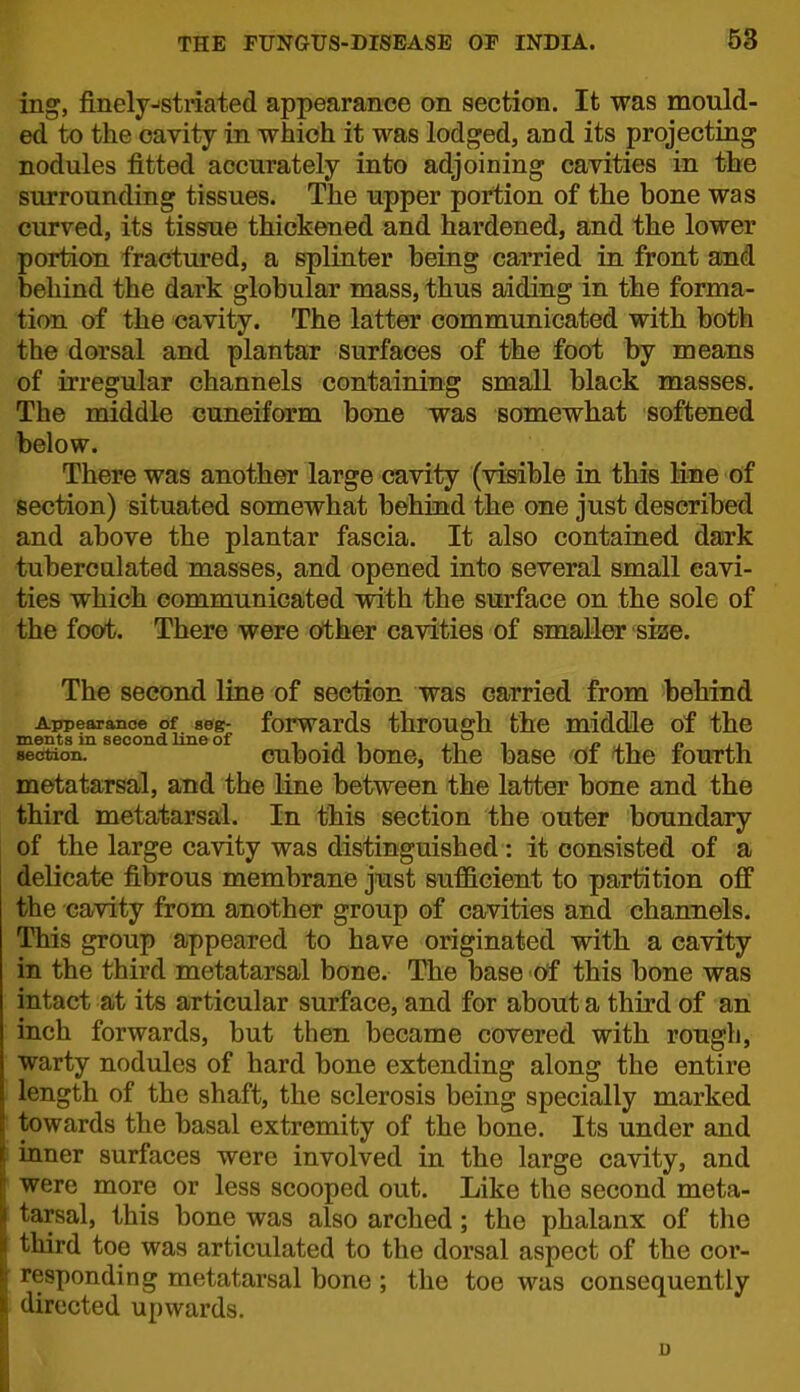 ing, finelyjstriated appearance on section. It was mould- ed to the cavity in which it was lodged, and its projecting nodules fitted accurately into adjoining cavities in the surrounding tissues. The upper portion of the bone was curved, its tissue thickened and hardened, and the lower portion fractured, a splinter being carried in front and behind the dark globular mass, thus aiding in the forma- tion of the cavity. The latter communicated with both the dorsal and plantar surfaces of the foot by means of irregular channels containing small black masses. The middle cuneiform bone was somewhat softened below. There was another large cavity (visible in this Mure of section) situated somewhat behind the one just described and above the plantar fascia. It also contained dark tubercalated masses, and opened into several small cavi- ties which Gommunicajted with the surface on the sole of the foot. There were other cavities of smaller size. The second line of section was carried from behind Appearance of seg- foFwards throuffh the middle of the ments m second line of i-ii ji i n n n ,i section. cuboid boue, the base oi the fourth metatarsal, and the line between the latter bone and the third metatarsal. In this section the outer boundary of the large cavity was distinguished : it consisted of a delicate fibrous membrane just sufficient to partition off the cavity from another group of cavities and channels. This group appeared to have originated with a cavity in the third metatarsal bone. The base of this bone was intact at its articular surface, and for about a third of an inch forwards, but then became covered with rough, warty nodules of hard bone extending along the entire length of the shaft, the sclerosis being specially marked towards the basal extremity of the bone. Its under and inner surfaces were involved in the large cavity, and were more or less scooped out. Like the second meta- tarsal, this bone was also arched; the phalanx of the third toe was articulated to the dorsal aspect of the cor- responding metatarsal bone ; the toe was consequently directed upwards.