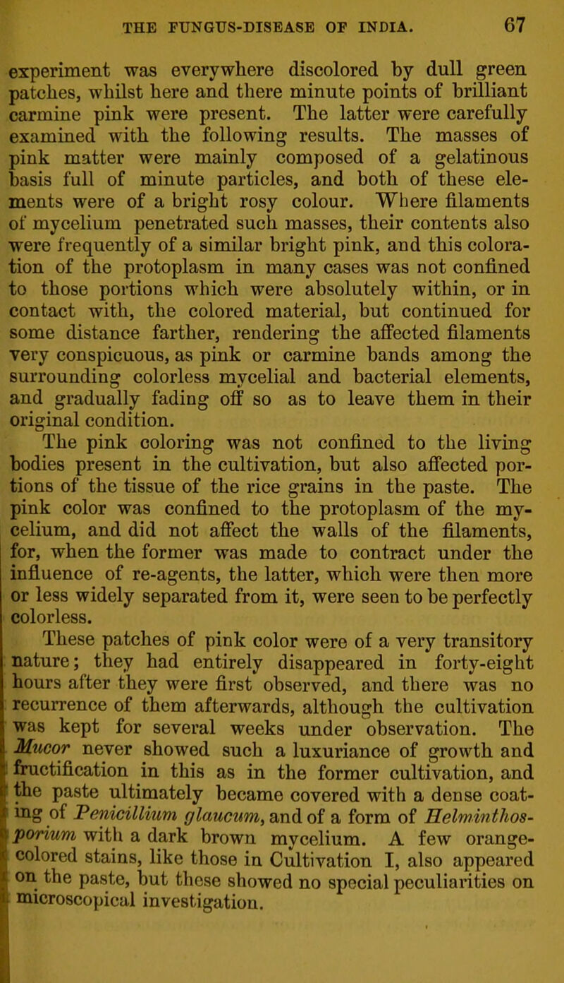 experiment was everywhere discolored by dull green patches, whilst here and there minute points of brilliant carmine pink were present. The latter were carefully examined with the following results. The masses of pink matter were mainly composed of a gelatinous basis full of minute particles, and both of these ele- ments were of a bright rosy colour. Where filaments of mycelium penetrated such masses, their contents also were frequently of a similar bright pink, and this colora- tion of the protoplasm in many cases was not confined to those portions which were absolutely within, or in contact with, the colored material, but continued for some distance farther, rendering the affected filaments very conspicuous, as pink or carmine bands among the surrounding colorless mycelial and bacterial elements, and gradually fading off so as to leave them in their original condition. The pink coloring was not confined to the living bodies present in the cultivation, but also affected por- tions of the tissue of the rice grains in the paste. The pink color was confined to the protoplasm of the my- celium, and did not affect the walls of the filaments, for, when the former was made to contract under the influence of re-agents, the latter, which were then more or less widely separated from it, were seen to be perfectly colorless. These patches of pink color were of a very transitory nature; they had entirely disappeared in forty-eight hours after they were first observed, and there was no recurrence of them afterwards, although the cultivation was kept for several weeks under observation. The Mucor never showed such a luxuriance of growth and I fiructification in this as in the former cultivation, and I the paste ultimately became covered with a dense coat- ing of Penicillium glaucnm, and of a form of Helwinthos- porium with a dark brown mycelium. A few orange- colored stains, like those in Cultivation I, also appeared on the paste, but these showed no special peculiarities on microscopical investigation.