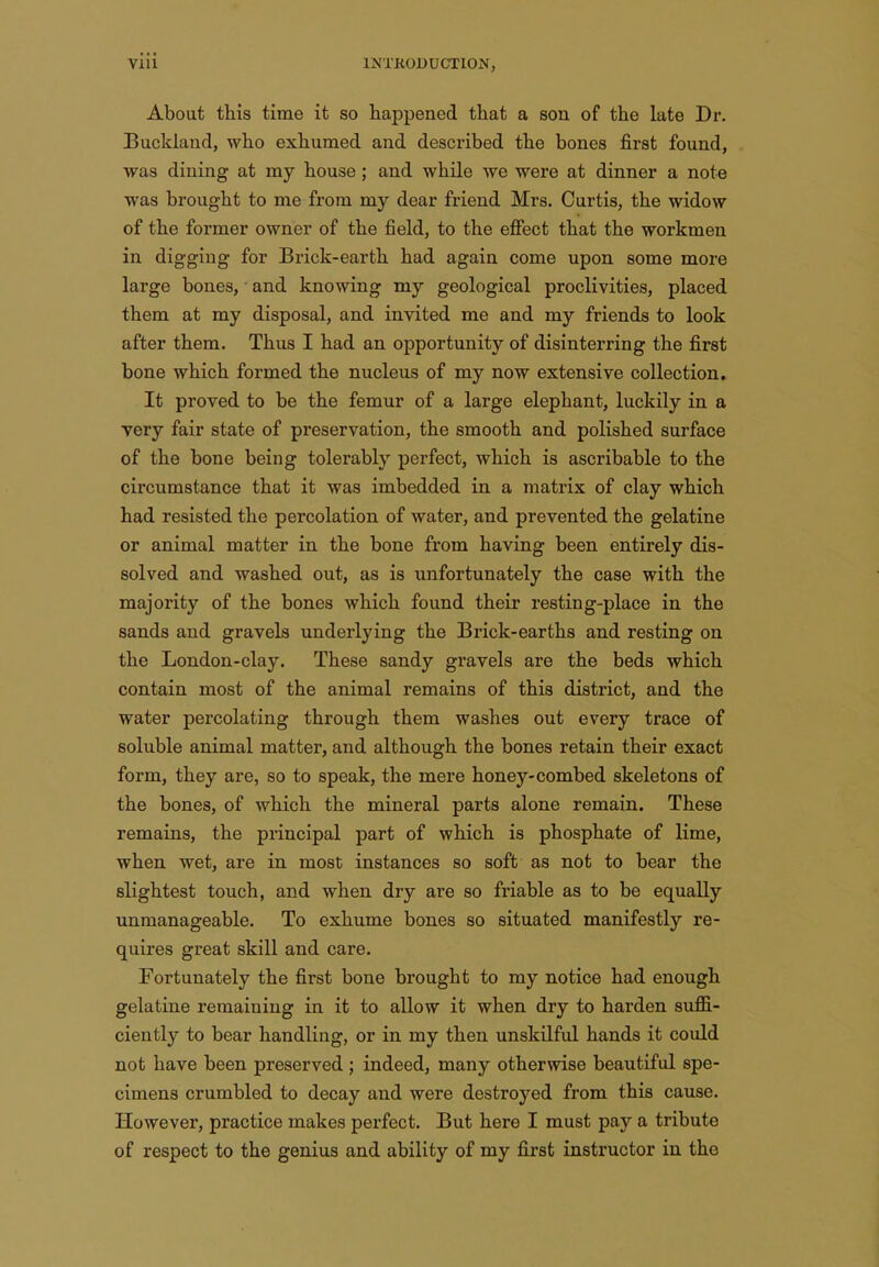 About this time it so happened that a son of the late Dr. Buckland, who exhumed and described the bones first found, was dining at my house; and while we were at dinner a note was brought to me from my dear friend Mrs. Curtis, the widow of the former owner of the field, to the efiect that the workmen in digging for Brick-earth had again come upon some more large bones, and knowing my geological proclivities, placed them at my disposal, and invited me and my friends to look after them. Thus I had an opportunity of disinterring the first bone which formed the nucleus of my now extensive collection. It proved to be the femur of a large elephant, luckily in a very fair state of preservation, the smooth and polished surface of the bone being tolerably perfect, which is ascribable to the circumstance that it was imbedded in a matrix of clay which had resisted the percolation of water, and prevented the gelatine or animal matter in the bone from having been entirely dis- solved and washed out, as is unfortunately the case with the majority of the bones which found their resting-place in the sands and gravels underlying the Brick-earths and resting on the London-clay. These sandy gravels are the beds which contain most of the animal remains of this district, and the water percolating through them washes out every trace of soluble animal matter, and although the bones retain their exact form, they are, so to speak, the mere honey-combed skeletons of the bones, of which the mineral parts alone remain. These remains, the principal part of which is phosphate of lime, when wet, are in most instances so soft as not to bear the slightest touch, and when dry are so friable as to be equally unmanageable. To exhume bones so situated manifestly re- quires great skill and care. Fortunately the first bone brought to my notice had enough gelatine remaining in it to allow it when dry to harden suffi- ciently to bear handling, or in my then unskilful hands it could not have been preserved ; indeed, many otherwise beautiful spe- cimens crumbled to decay and were destroyed from this cause. However, practice makes perfect. But here I must pay a tribute of respect to the genius and ability of my first instructor in the
