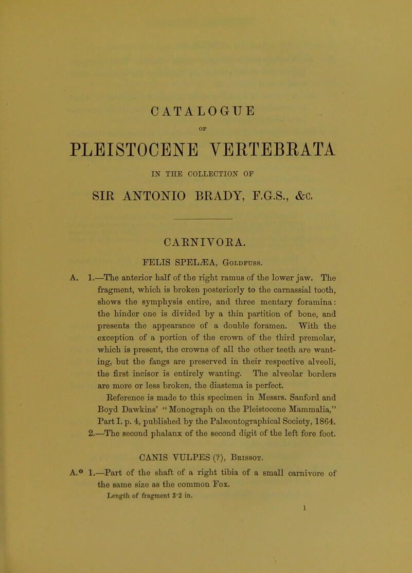 CATALOGUE OF PLEISTOCENE VERTEBRATA IN THE COLLECTION OF Sm ANTONIO BRADY, F.G.S., &c. CAENIYOKA. FELIS SPEL^A, Goldfuss. A. 1.—The anterior half of the right ramus of the lower jaw. The fragment, which is broken posteriorly to the camassial tooth, shows the symphysis entire, and three mentary foramina: the hinder one is divided by a thin partition of bone, and presents the appearance of a double foramen. With the exception of a portion of the crown of the third premolar, which is present, the crowns of all the other teeth are want- ing, but the fangs are preserved in their respective alveoli, the first incisor is entirely wanting. The alveolar borders are more or less broken, the diastema is perfect. Eeference is made to this specimen in Messrs. Sanford and Boyd Dawkins'  Monograph on the Pleistocene Mammalia, Part I. p. 4, published by the Palseontographical Society, 1864. 2.—The second phalanx of the second digit of the left fore foot. CANIS VULPES (?), Bkissot. A.** 1.—Part of the shaft of a right tibia of a small carnivore of the same size as the common Fox. Length of fragment 3 2 in.