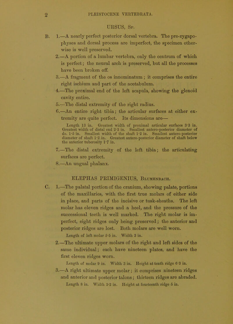 UESUS, Sp. B. 1.—A nearly perfect posterior dorsal vertebra. The pre-zygapo- physes and dorsal process are imperfect, the specimen other- wise is well preserved. 2. —A portion of a lumbar vertebra, only the centrum of which is perfect; the neural arch is preserved, but all the processes have been broken off. 3. —A fragment of the os innominatum ; it comprises the entire right ischium and part of the acetabulum. 4. —The proximal end of the left scapula, showing the glenoid cavity entire. 5. —The distal extremity of the right radius. 6. —An entire right tibia; the articular surfaces at either ex- tremity are quite perfect. Its dimensions are— Length 13 in. Greatest width of proximal articular surfaces 3'3 in. Greatest width of distal end 2-3 in. Smallest antero-posterior diameter of do. 1-6 in. Smallest width of the shaft 1'2 in. Smallest antero-posterior diameter of shaft 1-2 in. Greatest antero-posterior diameter of shaft below the anterior tuberosity 1-7 in. 7. —The distal extremity of the left tibia; the articulating surfaces are perfect. 8. —An ungual phalanx. ELEPHAS PEIMIGENIUS, Blumenbaoh. C. 1.—^The palatal portion of the cranium, showing palate, portions of the maxillaries, with the first true molars of either side in place, and parts of the incisive or tusk-sheaths. The left molar has eleven ridges and a heel, and the pressure of the successional teeth is well marked. The right molar is im- perfect, eight ridges only being preserved; the anterior and posterior ridges are lost. Both molars are well worn. Length of left molar 5'5 in. Width 3 in. 2. —The ultimate upper molars of the right and left sides of the same individual; each have nineteen plates, and have the first eleven ridges worn. Length of molar 9 in. Width 3 in. Height at tenth ridge 6-3 in. 3. —A right ultimate upper molar; it comprises nineteen ridges and anterior and posterior talons; thirteen ridges are abraded. Length 8 in. Width 3-2 in. Height at fourteenth ridge 6 in.
