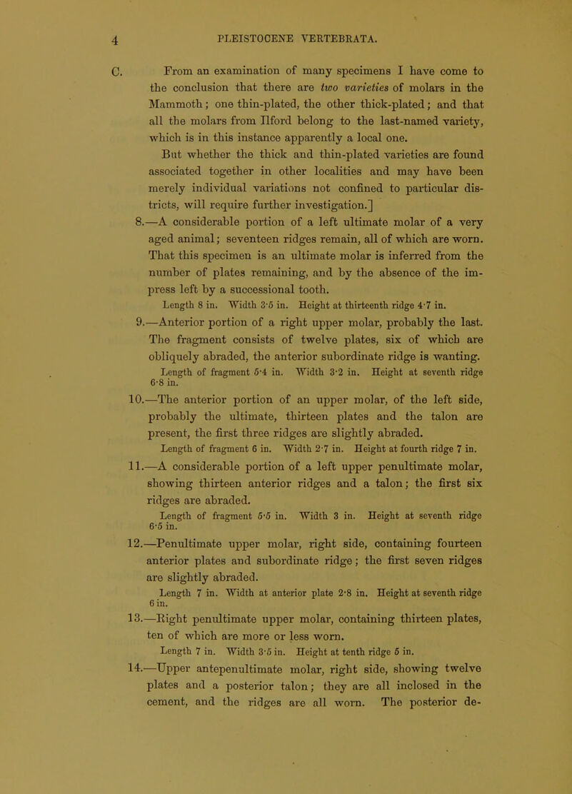C. From an examination of many specimens I have come to the conclusion that there are two varieties of molars in the Mammoth; one thin-plated, the other thick-plated; and that all the molars from Ilford belong to the last-named variety, which is in this instance apparently a local one. But whether the thick and thin-plated varieties are found associated together in other localities and may have been merely individual variations not confined to particular dis- tricts, will require further investigation.] 8. —A considerable portion of a left ultimate molar of a very aged animal; seventeen ridges remain, all of which are worn. That this specimen is an ultimate molar is inferred from the number of plates remaining, and by the absence of the im- press left by a successional tooth. Length 8 in. Width 3-5 in. Height at thirteenth ridge 4-7 in. 9. —Anterior portion of a right upper molar, probably the last. The fragment consists of twelve plates, six of which are obliquely abraded, the anterior subordinate ridge is wanting. Length of fragment 5'4 in. Width 3-2 in. Height at seventh ridge 6-8 in. 10. —The anterior portion of an upper molar, of the left side, probably the ultimate, thirteen plates and the talon are present, the first three ridges are slightly abraded. Length of fragment 6 in. Width 2-7 in. Height at fourth ridge 7 in. 11. —A considerable portion of a left upper penultimate molar, showing thirteen anterior ridges and a talon; the first six ridges are abraded. Length of fragment 5-5 in. Width 3 in. Height at seventh ridge 6-5 in. 12. —Penultimate upper molar, right side, containing fourteen anterior plates and subordinate ridge; the first seven ridges are slightly abraded. Length 7 in. Width at anterior plate 2-8 in. Height at seventh ridge 6 in. 13. —Eight penultimate upper molar, containing thirteen plates, ten of which are more or less worn. Length 7 in. Width 3-6 in. Height at tenth ridge 6 in. 14. —Upper antepenultimate molar, right side, showing twelve plates and a posterior talon; they are all inclosed in the cement, and the ridges are all worn. The posterior de-