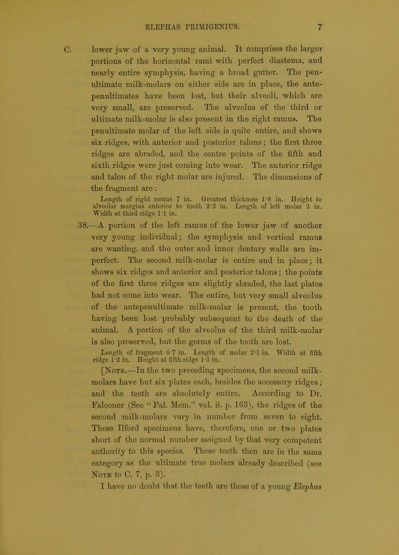 C. lower jaw of a very young animal. It comprises tlie larger portions of the horizontal rami with perfect diastema, and nearly entire symphysis, having a broad gutter. The pen- ultimate milk-molars on either side are in place, the ante- penultimates have been, lost, but their alveoli, which are very small, are preserved. The alveolus of the third or ultimate milk-molar is also present in the right ramus. The penultimate molar of the left side is quite entire, and shows six ridges, with anterior and posterior talons; the first three ridges ai'e abraded, and the centre points of the fifth and sixth ridges were just coming into wear. The anterior ridge and talon of the right molar are injured. The dimensions of the fragment are: Length of right ramus 7 in. Greatest thickness TS in. Height to alveolar margins anterior to tooth 2'2 in. Length of left molar 2 in. Width at third ridge I'l in. 38.—portion of the left ramus of the lower jaw of another very young individual; the symphysis and vertical ramus are wanting, and the outer and inner dentary walls are im- perfect. The second milk-molar is entire and in place; it shows six ridges and anterior and posterior talons; the points of the first three ridges are slightly abraded, the last plates had not come into wear. The entire, but very small alveolus of the antepenultimate milk-molar is present, the tooth having been lost probably subsequent to the death of the animal. A portion of the alveolus of the third milk-molar is also preserved, but the germs of the tooth are lost. Length of fragment 67 in. Length of molar 2*1 in. Width at fifth ridge 12 in. Height at fifth ridge 1-5 in. [Note.—In the two preceding specimens, the second milk- molars have but six plates each, besides the accessory ridges; and the teeth are absolutely entire. According to Dr. Falconer (See Pal. Mem. vol. ii. p. 163), the ridges of the second milk-molars vary in number from seven to eight. These Ilford specimens have, therefore, one or two plates short of the normal number assigned by that very competent authority to this species. These teeth then are in the same category as the ultimate true molars already described (see Note to C. 7, p. 3). I have no doubt that the teeth are those of a young ElepJias