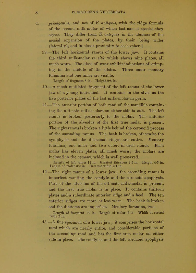 C. primigenius, and not of E. antiqum, with the ridge formula of the second milk-molar of which last-named species they agree. They differ from E. antiquus in the absence of the mesial expansion of the plates, by their being wider (laterally), and in closer proximity to each other.] 39. —The left horizontal ramus of the lower jaw. It contains the third milk-molar in situ, which shows nine plates, all much worn. The discs of wear exhibit indications of crimp- ing in the middle of the plates. Three outer mentary foramina and one inner are visible. Length of fragment 8 in. Height 2-8 in. 40. —A much mutilated fragment of the left ramus of the lower jaw of a young individual. It contains in the alveolus the five posterior plates of the last milk-molar in germ. 41. — The anterior portion of both rami of the mandible contain- ing the ultimate milk-molars on either side tn situ. The left ramus is broken posteriorly to the molar. The anterior portion of the alveolus of the first true molar is present. The right ramus is broken a little behind the coronoid process of the ascending ramus. The beak is broken, otherwise the symphysis and the diastemal ridges are entire. Mentary foramina, one inner and two outer, in each ramus. Each molar has eleven plates, all much worn; the molars are inclosed in the cement, which is well preserved. Length of left ramus 11 in. Greatest thickness 2*5 in. Height 4-3 in. Length of molar 3-9 in. Greatest width 2-1 in. 42. —The right ramus of a lower jaw; the ascending ramus is imperfect, wanting the condyle and the coronoid apophysis. Part of the alveolus of the ultimate milk-molar is present, and the first true molar is in place. It contains thirteen plates and a subordinate anterior ridge and a heel. The ten anterior ridges are more or less worn. The beak is broken and the diastema are imperfect. Mentary foramina, two. Length of fragment 14 in. Length of molar 6 in. Width at second ridge 2 in. 43. —A fine specimen of a lower jaw; it comprises the horizontal rami which are nearly entire, and considerable portions of the ascending rami, and has the first true molar on either side in place. The condyles and the left coronoid apophysis