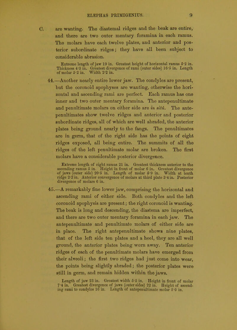 C. are wanting. The diastemal ridges and the beak are entire, and there are two outer mentary foramina in each ramus. The molars have each twelve plates, and anterior and pos- terior subordinate ridges; they have all been subject to considerable abrasion. Extreme length of jaw 19 in. Greatest height of horizontal ramus 6*2 in. Thickness 4*3 in. Greatest divergence of rami (outer sides) 165 in. Length of molar 5-2 in. Width 2-2 in. 44. —Another nearly entire lower jaw. The condyles are present, but the coronoid apophyses are wanting, otherwise the hori- zontal and ascending rami are perfect. Each ramus has one inner and two outer mentary foramina. The antepenultimate and penultimate molars on either side are in sitH. The ante- penultimates show twelve ridges and anterior and posterior subordinate ridges, all of which are well abraded, the anterior plates being ground nearly to the fangs. The penultimates are in germ, that of the right side has the points of eight ridges exposed, all being entire. The summits of all the ridges of the left penultimate molar are broken. The first molars have a considerable posterior divergence. Extreme length of right ramus 21 in. Greatest thickness anterior to the ascending ramus 5 in. Height in front of molar 6 in. Greatest divergence of jaws (outer side) 20'6 in. Length of molar 6'9 in. Width at tenth ridge 2-2 in. Anterior convergence of molars at third plate 3'4: in. Posterior divergence of molars 6 in. 45. —A remarkably fine lower jaw, comprising the horizontal and ascending rami of either side. Both condyles and the left coronoid apophysis are present; the right coronoid is wanting. The beak is long and descending, the diastema are imperfect, and there are two outer mentary foramina in each jaw. The antepenultimate and penultimate molars of either side are in place. The right antepenultimate shows nine plates, that of the left side ten plates and a heel, they are all well ground, the anterior plates being worn away. Ten anterior ridges of each of the penultimate molars have emerged from their alveoli; the first two ridges had just come into wear, the points being slightly abraded; the posterior plates were still in germ, and remain hidden within the jaws. Length of jaw 23 in. Greatest width 6-6 in. Height in front of molar 7'4 in. Greatest divergence of jaws (outer sides) 22 in. Height of ascend- ing rami to condyles 16 in. Length of antepenultimate molar 6-6 in.