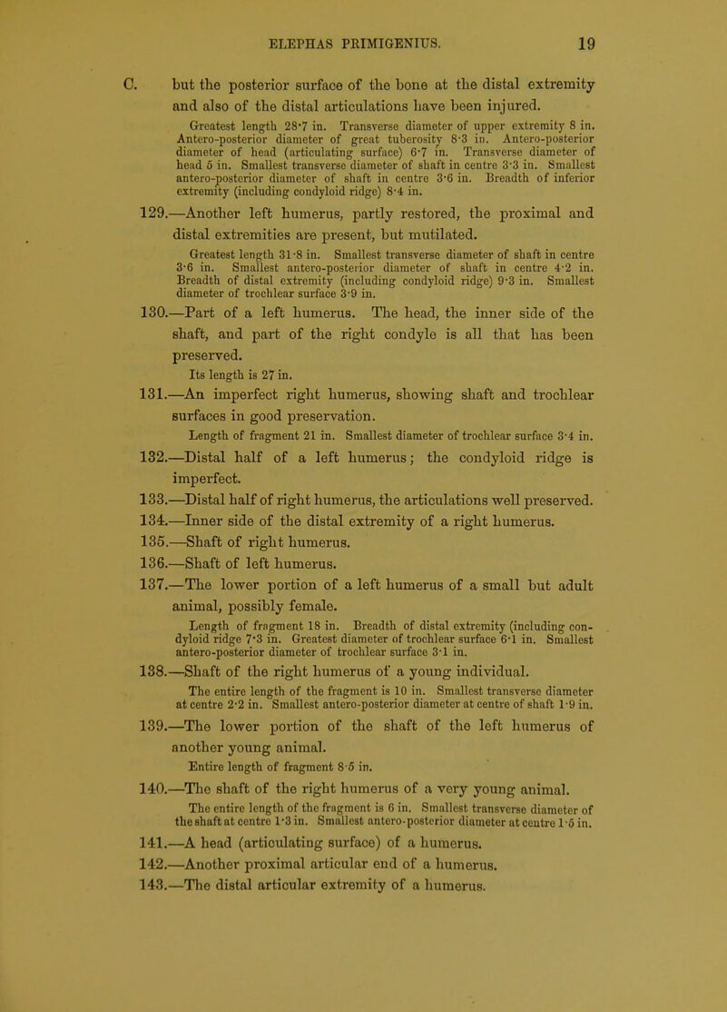 C. but the posterior surface of the bone at the distal extremity and also of the distal articulations have been injured. Greatest length 28*7 in. Transverse diameter of upper extremity 8 in. Antero-posterior diameter of great tuberosity 8-3 in. Antero-posterior diameter of head (articulating surface) 67 in. Transverse diameter of head 6 in. Smallest transverse diameter of shaft in centre 3'3 in. Smallest antero-posterior diameter of shaft in centre 3'6 in. Breadth of inferior extremity (including condyloid ridge) 8-4 in. 129. —Another left humerus, partly restored, the proximal and distal extremities are present, but mutilated. Greatest length 31-8 in. Smallest transverse diameter of shaft in centre 3'6 in. Smallest antero-posterior diameter of shaft in centre 4'2 in. Breadth of distal extremity (including condyloid ridge) 9-3 in. Smallest diameter of trochlear surface 3*9 in. 130. —Part of a left humerus. The head, the inner side of the shaft, and part of the right condyle is all that has been preserved. Its length is 27 in. 131. —An imperfect right humerus, showing shaft and trochlear surfaces in good preservation. Length of fragment 21 in. Smallest diameter of trochlear surface 3*4 in. 132. —Distal half of a left humerus; the condyloid ridge is imperfect. 133. —Distal half of right humerus, the articulations well preserved. 134. —Inner side of the distal extremity of a right humerus. 135. —Shaft of right humerus. 136. —Shaft of left humerus. 137. —The lower portion of a left humerus of a small but adult animal, possibly female. Length of fragment 18 in. Breadth of distal extremity (including con- dyloid ridge 7'3 in. Greatest diameter of trochlear surface 6'1 in. Smallest antero-posterior diameter of trochlear surface 3-1 in. 188.—Shaft of the right humerus of a young individual. The entire length of the fragment is 10 in. Smallest transverse diameter at centre 2-2 in. Smallest antero-posterior diameter at centre of shaft 1-9 in. 139. —The lower portion of the shaft of the left humerus of another young animal. Entire length of fragment 8-6 in. 140. —The shaft of the right humerus of a very young animal. The entire length of the fragment is 6 in. Smallest transverse diameter of theshaftat centre 13 in. Smallest antero-posterior diameter at centre 1-6 in. 141. —A head (articulating surface) of a humerus. 142. —Another proximal articular end of a humerus. 143. —The distal articular extremity of a humerus.