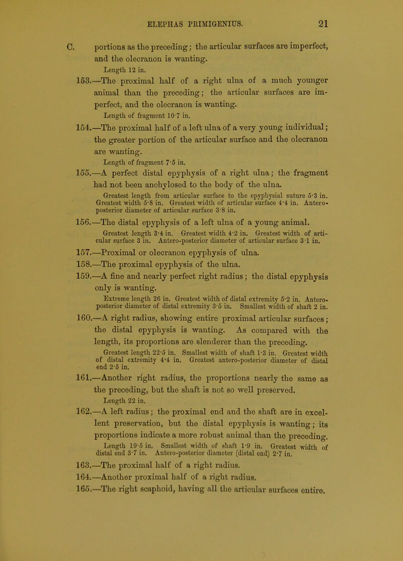 0. portions as the preceding; tlie articular surfaces are imperfect, and the olecranon is wanting. Length 12 in. 163.—The proximal half of a right ulna of a much younger animal than the preceding; the articular surfaces are im- perfect, and the olecranon is wanting. Length of fragment 10 7 in. 154r.—The proximal half of a left ulna of a very young individual; the greater portion of the articidar surface and the olecranon are wanting. Length of fragment 7'5 in. 155. —A perfect distal epyphysis of a right ulna; the fragment had not been anchylosed to the body of the ulna. Greatest length from articular surface to the epypliysial suture 6*3 in. Greatest width 5-8 in. Greatest width of articular surface 4-4 in. Antero- posterior diameter of articular surface 3'8 in. 156. —The distal epyphysis of a left ulna of a young animal. Greatest length 3'4 in. Greatest width 4*2 in. Greatest width of arti- cular surface 3 in. Antero-posterior diameter of articular surface 3-1 in. 157. —Proximal or olecranon epyphysis of ulna. 158. —The proximal epyphysis of the ulna. 159. —fine and nearly perfect right radius; the distal epyphysis only is wanting. Extreme length 26 in. Greatest width of distal extremity 5-2 in. Antero- posterior diameter of distal extremity 3 5 in. Smallest width of shaft 2 in. 160. —A right radius, showing entire proximal articular surfaces ; the distal epyphysis is wanting. As compared with the length, its proportions are slenderer than the preceding. Greatest length 22-5 in. Smallest width of shaft 1-3 in. Greatest width of distal extremity 4'4 in. Greatest antero-posterior diameter of distal end 2-6 in. 161. —Another right radius, the proportions neai'ly the same as the preceding, but the shaft is not so well preserved. Length 22 in. 162. —A left radius; the proximal end and the shaft are in excel- lent preservation, but the distal epyphysis is wanting; its proportions indicate a more robust animal than the preceding. Length 19-6 in. Smallest width of shaft 1'9 in. Greatest width of distal end 3'7 in. Antero-posterior diameter (distal end) 2*7 in. 163. —The proximal half of a right radius. 164. —Another proximal half of a right radius. 165. —^The right scaphoid, having all the articular surfaces entire.