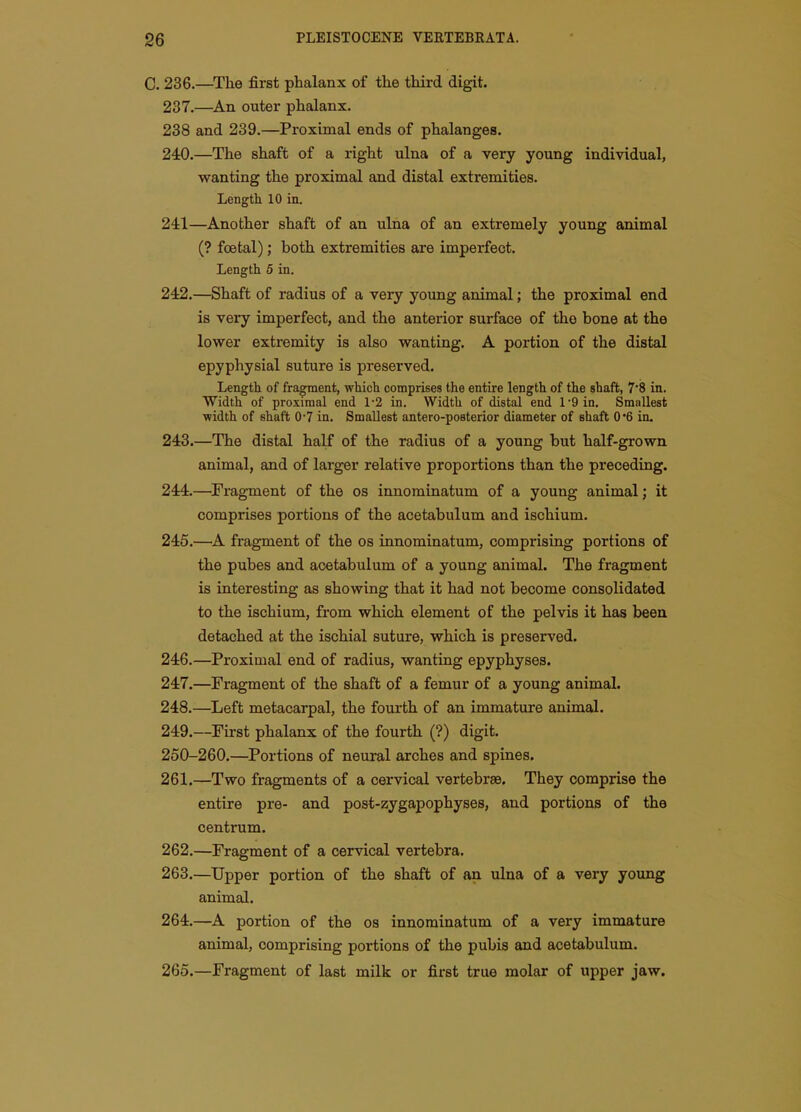 C. 236.—^The first phalanx of the third digit. 237.—An outer phalanx. 238 and 239.—Proximal ends of phalanges. 240.—The shaft of a right ulna of a very young individual, wanting the proximal and distal extremities. Length 10 in. 241—Another shaft of an ulna of an extremely young animal (? fcBtal); both extremities are imperfect. Length 5 in. 242. —Shaft of radius of a very young animal; the proximal end is very imperfect, and the anterior surface of the bone at the lower extremity is also wanting. A portion of the distal epyphysial suture is preserved. Length of fragment, which comprises the entire length of the shaft, 78 in. Width of proximal end 1-2 in. Width of distal end l'9in. Smallest width of shaft 0-7 in. Smallest antero-posterior diameter of shaft 0*6 in. 243. —The distal half of the radius of a young but half-grown animal, and of larger relative proportions than the preceding. 244. —Fragment of the os innominatum of a young animal; it comprises portions of the acetabulum and ischium. 246.—^A fragment of the os innominatum, comprising portions of the pubes and acetabulum of a young animal. The fragment is interesting as showing that it had not become consolidated to the ischium, from which element of the pelvis it has beeu detached at the ischial suture, which is preserved. 246. —Proximal end of radius, wanting epyphyses. 247. —Fragment of the shaft of a femur of a young animal. 248. —Left metacarpal, the fourth of an immature animal. 249. —First phalanx of the fourth (?) digit. 250-260.—Portions of neural arches and spines. 261. —Two fragments of a cervical vertebree. They comprise the entire pre- and post-zygapophyses, and portions of the centrum. 262. —Fragment of a cervical vertebra. 263. —Upper portion of the shaft of an ulna of a very young animal. 264. —A portion of the os innominatum of a very immature animal, comprising portions of the pubis and acetabulum. 265. —Fragment of last milk or first true molar of upper jaw.