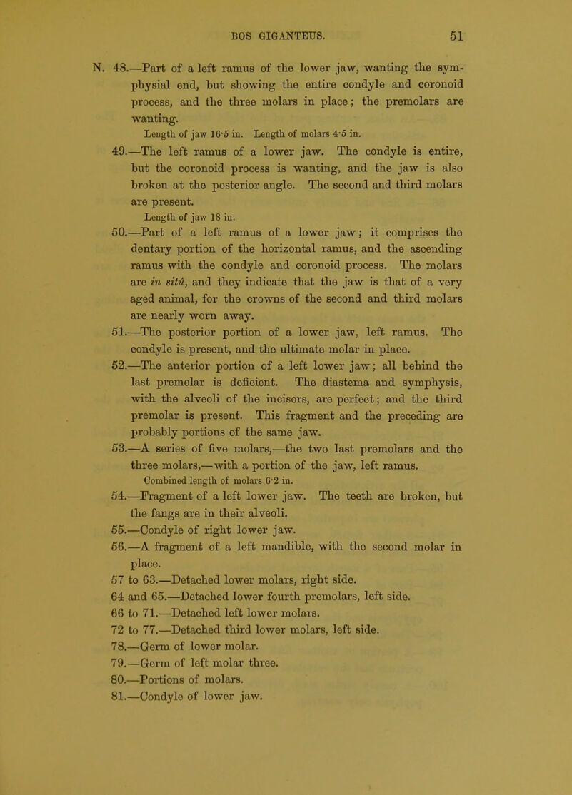 N. 48.—Part of a left ramus of the lower jaw, wanting the sym- pliysial end, but showing the entire condyle and coronoid process, and the three molars in place; the premolars are wanting. Length of jaw ]6-6 in. Length of molars 4*6 in. 49. —The left ramus of a lower jaw. The condyle is entire, but the coronoid process is wanting, and the jaw is also broken at the posterior angle. The second and third molars are present. Length of jaw 18 in. 50. —Part of a left ramus of a lower jaw; it comprises the dentary portion of the horizontal ramus, and the ascending ramus with the condyle and coronoid process. The molars are in sitii, and they indicate that the jaw is that of a very aged animal, for the crowns of the second and third molars are nearly worn away. 51. —^The posterior portion of a lower jaw, left ramus. The condyle is present, and the ultimate molar in place. 52. —The anterior portion of a left lower jaw; all behind the last premolar is deficient. The diastema and symphysis, with the alveoli of the incisors, are perfect; and the third premolar is present. This fragment and the preceding are probably portions of the same jaw. 63.—A series of five molars,—the two last premolars and the three molars,—with a portion of the jaw, left ramus. Combined length of molars 6-2 in. 54.—Fragment of a left lower jaw. The teeth are broken, but the fangs are in their alveoli. 65. —Condyle of right lower jaw. 66. —A fragment of a left mandible, with the second molar in place. 57 to 63.—Detached lower molars, right side. 64 and 65.—Detached lower fourth premolars, left side. 66 to 71.—Detached left lower molars. 72 to 77.—Detached third lower molars, left side. 78. —Germ of lower molar. 79. —Germ of left molar three. 80. —Portions of molars. 81. —Condyle of lower jaw.