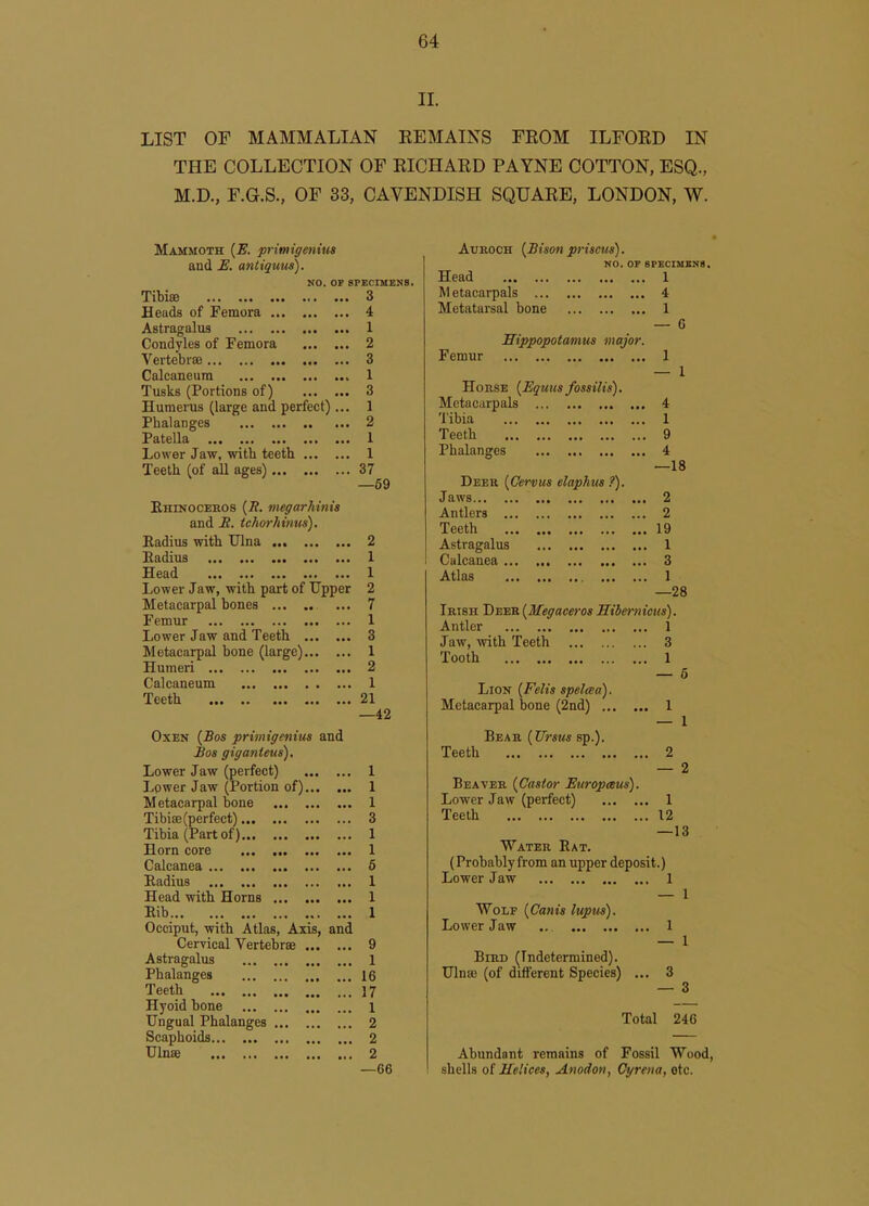 II. LIST OF MAMMALIAN EEMAINS FROM ILFORD IN THE COLLECTION OF RICHARD PAYNE COTTON, ESQ., M.D., F.G.S., OF 33, CAVENDISH SQUARE, LONDON, W. Mammoth {E. primigenixts and E. antiquns). NO. OF gPECIUEMB. Tibise 3 Heads of Femora 4 Astragalus 1 Condyles of Femora 2 Vertebrse 3 Calcaneum 1 Tusks (Portions of) 3 Humerus (large and perfect)... 1 Pbalanges 2 Patella 1 Lower Jaw, witb teetb 1 Teeth (of all ages) 37 —69 Ehinocekos {R. megarhinis and if. tchorhinus). Eadius with Ulna 2 Badius 1 Head 1 Lower Jaw, with part of Upper 2 Metacarpal bones 7 Femur 1 Lower Jaw and Teeth 3 Metacarpal bone (large) 1 Humeri 2 Calcaneum 1 Teeth ••• ••■ 21 —42 Oxen {Bos primigenim and Jios giganieus). Lower Jaw (perfect) 1 Lower Jaw (Portion of) 1 Metacarpal bone 1 Tibiae (perfect) 3 Tibia (Part of) 1 Horn core 1 Calcanea 6 Radius 1 Head with Horns 1 Eib. 1 Occiput, with Atlas, Axis, and Cervical Vertebrae 9 Astragalus 1 Phalanges 16 Teeth 17 Hyoid bone i Ungual Phalanges 2 Scaphoids 2 Ulnse 2 —66 AuROOH {Bison priscus). NO. OF SPECIMENS. Head 1 M etacarpals 4 Metatarsal bone 1 — 6 Hippopotamus major. Femur 1 — 1 Horse {Equits fossilis). Metacarpals 4 Tibia 1 Teeth 9 Phalanges 4 —18 Deer {Gervus elaphus ?). Jaws 2 Antlers 2 Teeth 19 Astragalus 1 Calcanea 3 Atlas 1 —28 Irish Deek {Megaceros Hibernicus). Antler 1 Jaw, with Teeth 3 Tooth 1 — 6 Lion {Felis spelaa). Metacarpal bone (2nd) 1 — 1 Bear {Urstis sp.). Teeth 2 — 2 Beaver {Castor Europaus). Lower Jaw (perfect) 1 Teeth 12 —13 Water Rat. (Probably from an upper deposit.) Lower Jaw 1 — 1 Wolf {Canis lupus). Lower Jaw 1 — 1 Bird (Tndetermined). Ulnae (of ditferent Species) ... 3 — 3 Total 246 Abundant remains of Fossil Wood, shells oi Helices, Anodon, Cyreua, etc.