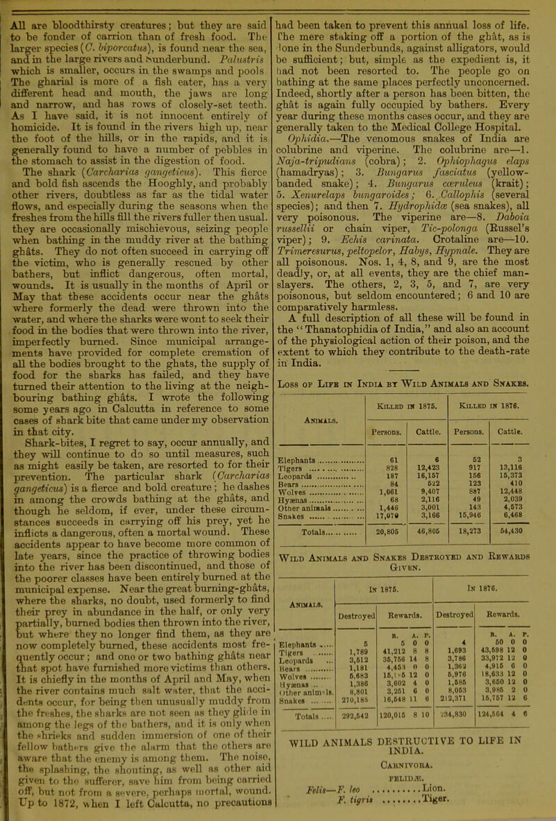 All are bloodthirsty creatures; but tbey are said to be fonder of carrion than of fresh food. The larger species (C. Uporcatm), is found near the sea, and in the large rivers and ^imderbund. Palustris which is smaller, occurs in the swamps and pools The gharial is more of a fish eater, has a very different head and mouth, the jaws are long and narrow, and has rows of closely-set teoth. As I have said, it is not innocent entirely of homicide. It is found in the rivers high up, near the foot of the hills, or in the rapids, and it is generally found to have a number of pebbles in the stomach to assist in the digestion of food. The shark {Carcharias (janf/eticus). This fierce and bold fish ascends the Hooghly, and probably other rivers, doubtless as far as the tidal water flows, and especially during the seasons when the freshes from the hills fill the rivers fuller then usual, they are occasionally mischievous, seizing people when bathing in the muddy river at the bathing gh^ts. They do not often succeed in carrying off the victim, who is generally rescued by other bathers, but inflict dangerous, often mortal, ■wounds. It is usually in the months of April or May that these accidents occm' near the gh^ts where formerly the dead were thrown into the water, and where the sharks were wont to seek theii- food in the bodies that were thrown into the river, impel fectly burned. Since municipal arrange- ments have provided for complete cremation of all the bodies brought to the ghats, the supply of food for the sharks has failed, and they have turned their attention to the living at the neigh- bouring bathing gh^ts. I wrote the following some years ago in Calcutta in reference to some cases of shark bite that came under my observation in that city. Shark-bites, I regret to say, occur annually, and they will continue to do so imtil measures, such as might easily be taken, are resorted to for their prevention. The particular shark (Carcharias gangeticus) is a fierce and bold creature ; he dashes in among the crowds bathing at the ghats, and though he seldom, if ever, under these circum- stances succeeds in carrying off his prey, yet he inflicts a dangerous, often a mortal wound. These accidents appear to have become more common of late years, since the practice of throwing bodies into the river has been discontinued, and those of the poorer classes have been entirely burned at the municipal expense. Near the great burning-ghats, where the sharks, no doubt, used formerly to find their prey in abundance in the half, or only very partially, burned bodies then thrown into the river, but where they no longer find them, as they are now completely burned, these accidents most fre- quently occur; and one or two bathing ghdts near that spot have furnished more victims than others. It is chiefly in the months of April and May, when the river contains much salt water, that the acci- dt^nts occur, for being then imusually muddy from the freshes, the sharks are not seen as they gli'le in among the legs of the bathers, and it is only when the shrieks and sudden immersion of one of their fellow hathprs give the alarm that the others are aware that the enemy is among them. The noise, thf! splashing, the shouting, as well as other aid given to the sufferer, save him from bfiing carried off, but not from a severe, perhaps mortal, wound. Up to 1872, when I left Calcutta, no precautions had been taken to prevent this annual loss of life, fhe mere staking off a portion of the ghat, as is lone in the Sunderbunds, against alligators, would be sufficient; but, simple as the expedient is, it iiad not been resorted to. The people go on bathing at the same places perfectly unconcerned. Indeed, shortly after a person has been bitten, the ghat is again fully occupied by bathers. Every year during these months cases occur, and they are generally taken to the Medical College Hospital. Ophidia.—The venomous snakes of India are colubrine and viperine. The colubrinc are—1. Naja-tripudians (cobra); 2. Ophiophagus elaps (hamadryas); 3. Bungarus fasciaius (yellow- banded snake); 4. Bungarus co&rulem (krait); 5. Xenurelaps bungaroides; Q. Callophis (several species); and then 7. Jlijdrophida; (sea snakes), all very poisonous. The viperine are—8. Daboia russellii or chain viper, Tic-polonga (Russel's viper); 9. JEchis carinata. Crotaline are—10. Trimeresurus, peltopelor, Habys, Hypnale. They are all poisonous. Nos. 1, 4, 8, and 9, are the most deadly, or, at all events, they are the chief man- slayers. The others, 2, 3, 5, and 7, are very poisonous, but seldom encountered; 6 and 10 are comparatively harmless. A full description of all these will be found in the Thanatophidia of India, and also an account of the physiological action of their poison, and the extent to which they contribute to the death-rate in India. Loss OP LiFB IN India bt Wild Aniuals and Snakes. Killed IH 1875. KaLED IN 1876. AimuLs. Persons. Cattle. Persons. Cattle. 61 6 52 3 828 12,423 917 13,116 187 16,157 156 15,373 84 5'^2 123 410 1,061 9,407 88T 12,448 68 2,116 49 2,039 1,446 3,001 143 4,573 17,079 3,166 15,946 6,468 Totals 20,805 46,806 18,273 54,430 Wild Animals and Snakes Dbstroybd and Rewards Given. In 1876. In 18J6. Destroyed Rewards. Destroyed Rewards. Leopards 6 1,789 3,612 1,181 6.683 1,386 8,801 270,18fl B. A. P. 5 0 0 41,212 8 8 36,756 14 8 4,463 n 0 16,1-6 12 0 3,602 4 0 3,251 6 0 16,648 11 6 4 1,693 3,786 1,382 6,976 1,686 8,063 212,371 ». A. p. 50 0 0 43,698 12 0 33,972 U 0 4,916 6 0 18,633 12 0 3,650 12 0 3,986 2 0 15,767 12 6 Wolves Hysenas .. ()ther anim ils. Totals .... 292,642 120,016 8 10 V34,830 124,564 4 8 WILD ANIMALS DESTRUCTIVE TO LIFE IN INDIA. Oaknivora. fblid;k. Felii—F. feo Lion. F. tigrit Tiger.