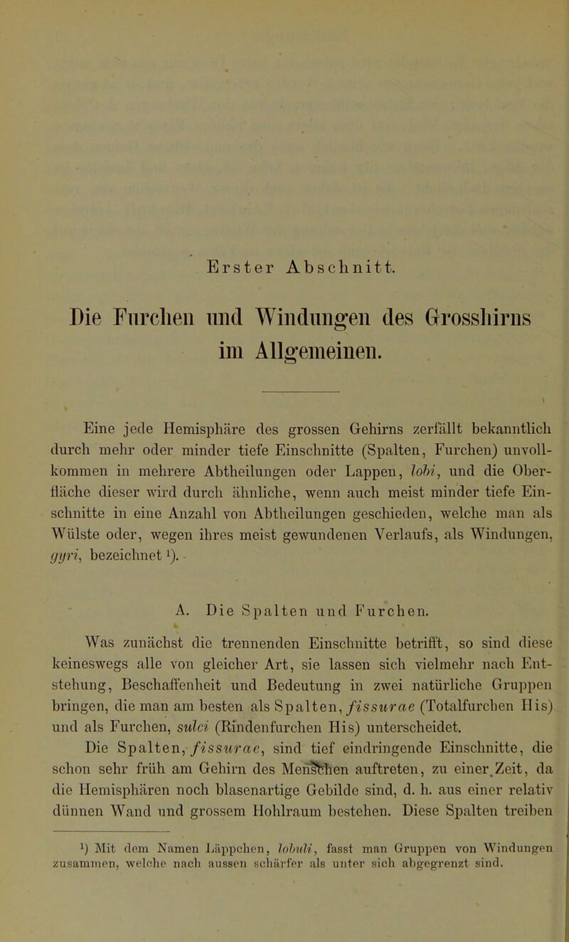 Erster Abschnitt. Die Fnrclieii und Windungen des Grossliirns im Allgemeinen. Eine jede Hemisphäre des grossen Gehirns zerfällt bekanntlich durch mehr oder minder tiefe Einschnitte (Spalten, Furchen) unvoll- kommen in mehrere Abtheilungen oder Lappen, lohi, und die Ober- fläche dieser wird durch ähnliche, wenn auch meist minder tiefe Ein- schnitte in eine Anzahl von Abtheilungen geschieden, welche man als Wülste oder, wegen ihres meist gewundenen Verlaufs, als Windungen, gyri, bezeichnet i). A. Die Spalten und Furchen. Was zunächst die trennenden Einschnitte betrifft, so sind diese keineswegs alle von gleicher Art, sie lassen sich vielmehr nach Ent- stehung, Beschaffenheit und Bedeutung in zwei natürliche Gruppen bringen, die man am besten als Spalten,/«ssttrae (Totalfurchen Iiis) und als Furchen, sulci (Rindenfurchen His) unterscheidet. Die Spalten,/^sstfra^', sind tief eindringende Einschnitte, die schon sehr früh am Gehirn des Meiilfehen auftreten, zu einer,Zeit, da die Hemisphären noch blasenartige Gebilde sind, d. h. aus einer relativ dünnen Wand und grossem Hohlraum bestehen. Diese Spalten treiben ^) Mit dem Namen Ijäppchen, lolnüi, fasst man Gruppen von Windungen zusammen, welnhe nach aussen scliävfer als unter sich ahgegrenzt sind.