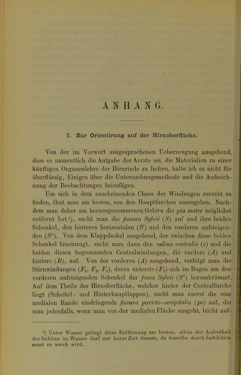 A ]^ H A G. I. Zur Orientirung auf der Hirnoberfläche. Von der im Vorwort ausgesprochenen Ueberzeugung ausgehend, dass es namentlich die Aufgabe der Aerzte sei, die Materialien zu einer künftigen Organenlehre der Hirnrinde zu liefern, halte ich es nicht für überflüssig, Einiges über die Untersuchungsmethode und die Aufzeich- nung der Beobachtungen beizufügen. Um sich in dem anscheinenden Chaos der Windungen zurecht zu finden, thut man am besten, von den Hauptfurchen auszugehen. Nach- dem man daher am herausgenommenen Gehirn die pia maier möglichst entfernt hat^), sucht man die fissura Sylvii (S) auf und ihre beiden Schenkel, den hinteren horizontalen (S') und den vorderen aufsteigen- den (S). Von dem Klappdeckel ausgehend, der zwischen diese beiden Schenkel hineinragt, sucht man dann den sulcus centralis (c) und die beiden diesen begrenzenden Centraiwindungen, die vordere (Ä) und hintere (B), auf. Von der vorderen (A) ausgehend, verfolgt man die Stirn Windungen (Fi, Fj, F^), deren unterste (F3) sich im Bogen um den vorderen aufsteigenden Schenkel der fossa Sylvii (S) herurakrümmt. Auf dem Theile der Hirnoberfläche, welcher hinter der Centraifurche liegt (Scheitel- und Hinterhauptlappen), sucht man zuerst die vom medialen Rande eindringende fissura parieto-occipitalis (po) auf, die man jedenfalls, wenn man von der medialen Fläche ausgeht, leicht auf- 1) Unter Wasser gelingt diese Entfernung am besten, allein der Aufenthalt des Gehirns im Wasser darf nur kurze Zeit dauern, da dasselbe durch Imbibition sonst zu weich wird.