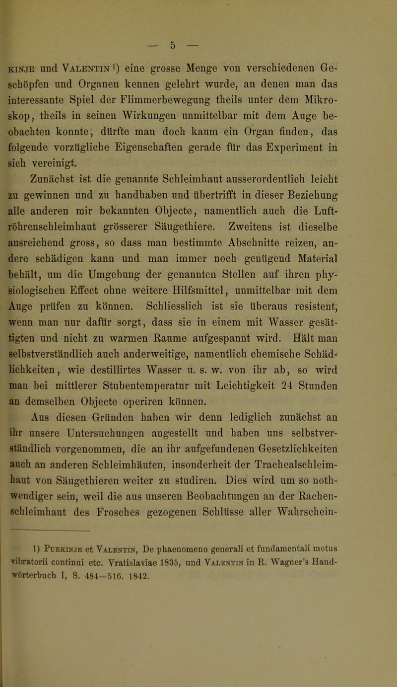 KINJE und Valentin ') eine grosse Menge von verschiedenen Ge- schöpfen und Organen kennen gelehrt wurde, an denen man das interessante Spiel der Flimmerbewegung theils unter dem Mikro- skop, theils in seinen Wirkungen unmittelbar mit dem Auge be- obachten konnte, dürfte man doch kaum ein Organ finden, das folgende vorzügliche Eigenschaften gerade für das Experiment in sich vereinigt. Zunächst ist die genannte Schleimhaut ausserordentlich leicht zu gewinnen und zu handhaben und übertrifft in dieser Beziehung alle anderen mir bekannten Objecto, namentlich auch die Luft- röhrenschleimhaut grösserer Säugethiere. Zweitens ist dieselbe ausreichend gross, so dass man bestimmte Abschnitte reizen, an- dere schädigen kann und man immer noch genügend Material behält, um die Umgebung der genannten Stellen auf ihren phy- siologischen Effect ohne weitere Hilfsmittel, unmittelbar mit dem Auge prüfen zu können. Schliesslich ist sie überaus resistent, wenn man nur dafür sorgt, dass sie in einem mit Wasser gesät- tigten und nicht zu warmen Räume aufgespannt wird. Hält man selbstverständlich auch anderweitige, namentlich chemische Schäd- lichkeiten, wie destillirtes Wasser u. s. w. von ihr ab, so wird man bei mittlerer Stubentemperatur mit Leichtigkeit 24 Stunden an demselben Objecte operiren können. Aus diesen Gründen haben wir denn lediglich zimächst an ihr unsere Untersuchungen angestellt und haben uns selbstver- ständlich vorgenommen, die an ihr aufgefundenen Gesetzlichkeiten auch an anderen Schleimhäuten, insonderheit der Trachealschleim- haut von Säugethieren weiter zu studiren. Dies wird um so noth- wendiger sein, weil die aus unseren Beobachtungen an der Rachen- schleimhaut des Frosches gezogenen Schlüsse aller Wahrschein- 1) Purkinje et Valentin, De phaenomeno generali et fundamentali motus vibratorii continui etc. Vratislaviao 1835, und Valentin in R. Wagner's Hand- wörterbuch I, S. 484—516. 1842.