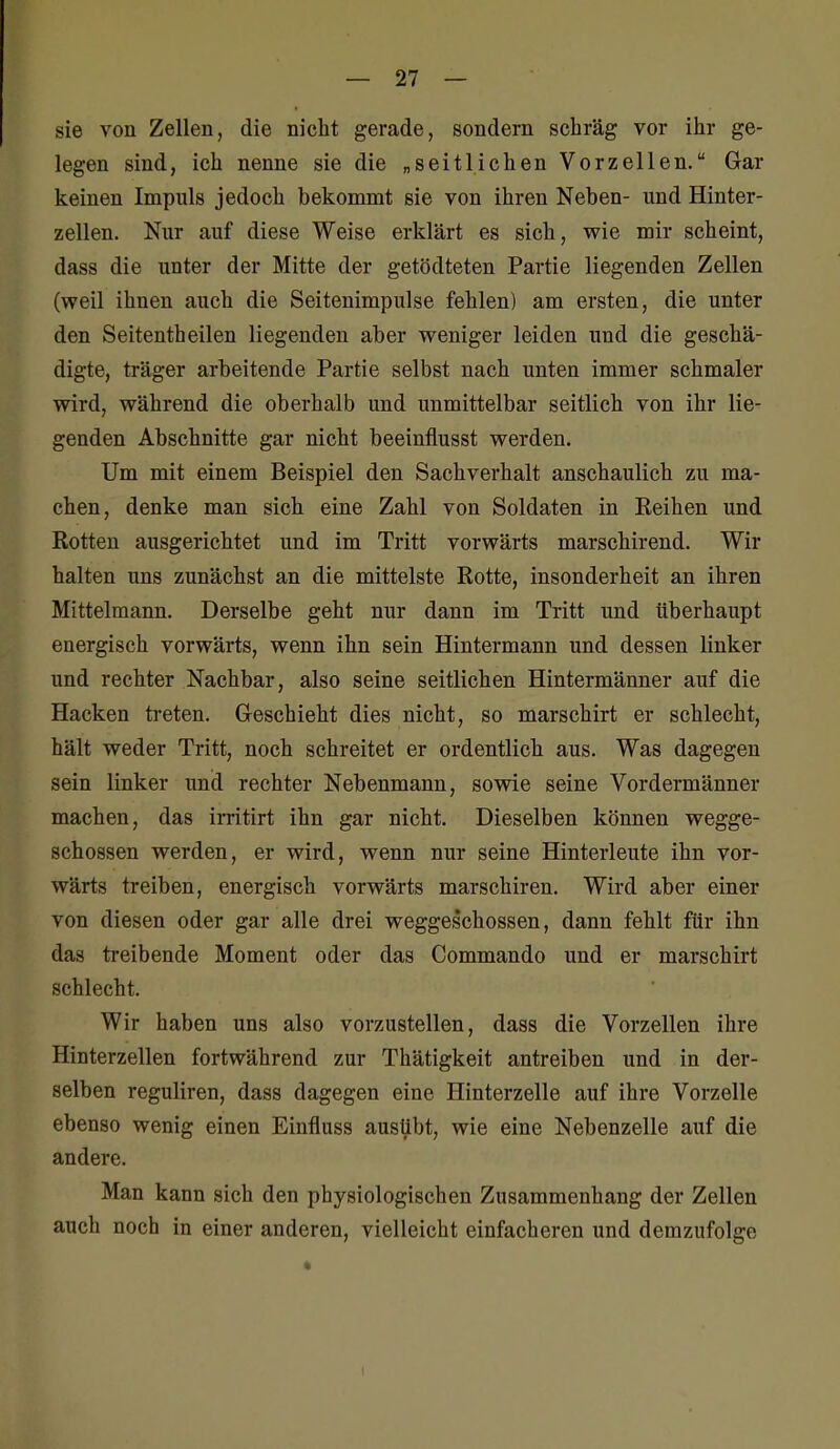 sie von Zellen, die nicht gerade, sondern schräg vor ihr ge- legen sind, ich nenne sie die „seitlichen Vorzellen. Gar keinen Impuls jedoch bekommt sie von ihren Neben- und Hinter- zellen. Nur auf diese Weise erklärt es sich, wie mir scheint, dass die unter der Mitte der getödteten Partie liegenden Zellen (weil ihnen auch die Seitenimpulse fehlen) am ersten, die unter den Seitentheilen liegenden aber weniger leiden und die geschä- digte, träger arbeitende Partie selbst nach unten immer schmaler wird, während die oberhalb und unmittelbar seitlich von ihr lie- genden Abschnitte gar nicht beeinflusst werden. Um mit einem Beispiel den Sachverhalt anschaulich zu ma- chen, denke man sich eine Zahl von Soldaten in Reihen und Rotten ausgerichtet und im Tritt vorwärts marschirend. Wir halten uns zunächst an die mittelste Rotte, insonderheit an ihren Mittelmann. Derselbe geht nur dann im Tritt und überhaupt energisch vorwärts, wenn ihn sein Hintermann und dessen linker und rechter Nachbar, also seine seitlichen Hintermänner auf die Hacken treten. Geschieht dies nicht, so marschirt er schlecht, hält weder Tritt, noch schreitet er ordentlich aus. Was dagegen sein linker und rechter Nebenmann, sowie seine Vordermänner machen, das imtirt ihn gar nicht. Dieselben können wegge- schossen werden, er wird, wenn nur seine Hinterleute ihn vor- wärts treiben, energisch vorwärts marschiren. Wird aber einer von diesen oder gar alle drei weggeschossen, dann fehlt für ihn das treibende Moment oder das Commando und er marschirt schlecht. Wir haben uns also vorzustellen, dass die Vorzellen ihre Hinterzellen fortwährend zur Thätigkeit antreiben und in der- selben reguliren, dass dagegen eine Hinterzelle auf ihre Vorzelle ebenso wenig einen Einfluss ausübt, wie eine Nebenzelle auf die andere. Man kann sich den physiologischen Zusammenhang der Zellen auch noch in einer anderen, vielleicht einfacheren und demzufolge
