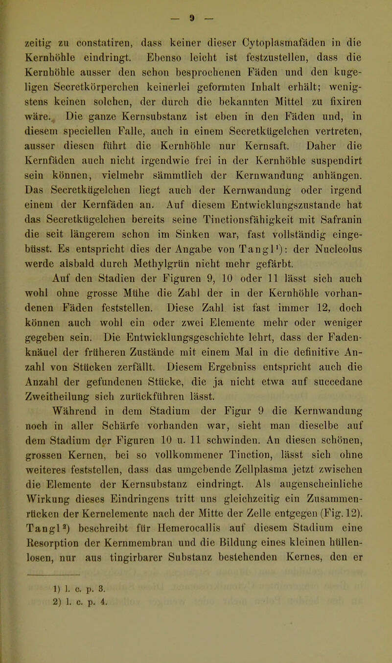 zeitig zu constatiren, dass keinev dieser Cytoplasmafäden in die Kernhöhle eindringt. Ebenso leicht ist testzustellen, dass die Kernhöhle ausser den schon besprochenen Fäden und den kuge- ligen Secretkörperchen keinerlei geformten Inhalt erhält; wenig- stens keinen solchen, der durch die bekannten Mittel zu tixiren wäre. Die ganze Kernsubstanz ist eben in den Fäden und, in diesem speciellen Falle, auch in einem Secretkügelchen vertreten, ausser diesen führt die Kernhöhle nur Kernsaft. Daher die Kernfäden auch nicht irgendwie frei in der Kernhöhle suspendirt sein können, vielmehr sämmtlich der Kernwandung anhängen. Das Secretkügelchen liegt auch der Kernwandung oder irgend einem der Kernfäden an. Auf diesem Entwicklungszustande hat das Secretkügelchen bereits seine Tinctionsfähigkeit mit Safranin die seit längerem schon im Sinken war, fast vollständig einge- büsst. Es entspricht dies der Angabe von Tangl1): der Nucleolus werde alsbald durch Methylgrün nicht mehr gefärbt. Auf den Stadien der Figuren 9, 10 oder 11 lässt sich auch wohl ohne grosse Mühe die Zahl der in der Kernhöhle vorhan- denen Fäden feststellen. Diese Zahl ist fast immer 12, doch können auch wohl ein oder zwei Elemente mehr oder weniger gegeben sein. Die Entwicklungsgeschichte lehrt, dass der Faden- knäuel der früheren Zustände mit einem Mal in die definitive An- zahl von Stücken zerfällt. Diesem Ergebniss entspricht auch die Anzahl der gefundenen Stücke, die ja nicht etwa auf succedane Zweitheilung sich zurückführen lässt. Während in dem Stadium der Figur 9 die Kernwandung noch in aller Schärfe vorhanden war, sieht man dieselbe auf dem Stadium der Figuren 10 u. 11 schwinden. An diesen schönen, grossen Kernen, bei so vollkommener Tinction, lässt sich ohne weiteres feststellen, dass das umgebende Zellplasma jetzt zwischen die Elemente der Kernsubstanz eindringt. Als augenscheinliche Wirkung dieses Eindringens tritt uns gleichzeitig ein Zusammen- rücken der Kernelemente nach der Mitte der Zelle entgegen (Fig. 12). Tangl2) beschreibt für Hemerocallis auf diesem Stadium eine Resorption der Kernmembran und die Bildung eines kleinen hüllen- losen, nur aus tingirbarer Substanz bestehenden Kernes, den er 1) 1. c. p. 3. 2) 1. c. p. 4.