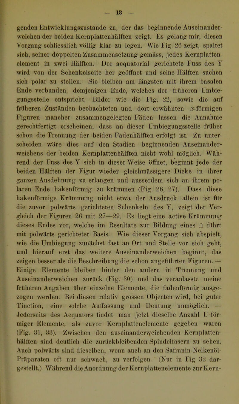 18 genden Entwicklungszustande zu, der das beginnende Auseinander- weichen der beiden Kernplattenhälften zeigt. Es gelang mir, diesen Vorgang schliesslich völlig klar zu legen. Wie Fig. 26 zeigt, spaltet sich, seiner doppelten Zusammensetzung gemäss, jedes Kernplatten- element in zwei Hälften. Der aequatorial gerichtete Fuss des Y wird von der Schenkelseite her geöffnet und seine Hälften suchen sich polar zu stellen. Sie bleiben am längsten mit ihrem basalen Ende verbunden, demjenigen Ende, welches der früheren Umbie- gungsstelle entspricht. Bilder wie die Fig. 22, sowie die auf früheren Zuständen beobachteten und dort erwähnten z-förmigen Figuren mancher zusammengelegten Fäden lassen die Annahme gerechtfertigt erscheinen, dass an dieser Umbiegungsstelle früher schon die Trennung der beiden Fadenhälften erfolgt ist. Zu unter- scheiden wäre dies auf den Stadien beginnenden Auseinander- weichens der beiden Kernplattenhälften nicht wohl möglich. Wäh- rend der Fuss des Y sich in dieser Weise öffnet, beginnt jede der beiden Hälften der Figur wieder gleichmässigere Dicke in ihrer ganzen Ausdehnung zu erlangen und ausserdem sich an ihrem po- laren Ende hakenförmig zu krümmen (Fig. 26, 27). Dass diese hakenförmige Krümmung nicht etwa der Ausdruck allein ist für die zuvor polwärts gerichteten Schenkeln des Y, zeigt der Ver- gleich der Figuren 26 mit 27—29. Es liegt eine active Krümmung dieses Endes vor, welche im Resultate zur Bildung eines 11 führt mit polwärts gerichteter Basis. Wie dieser Vorgang sich abspielt, wie die Umbiegung zunächst fast an Ort und Stelle vor sich geht, und hierauf erst das weitere Auseinanderweichen beginnt, das zeigen besser als die Beschreibung die schon angeführten Figuren. — Einige Elemente bleiben hinter den andern in Trennung und Auseinanderweichen zurück (Fig. 30) und das veranlasste meine früheren Angaben Uber einzelne Elemente, die fadenförmig ausge- zogen werden. Bei diesen relativ grossen Objecten wird, bei guter Tinction, eine solche Auffassung und Deutung unmöglich. — Jederseits des Aequators findet man jetzt dieselbe Anzahl U-för- miger Elemente, als zuvor Kernplattenelemente gegeben waren (Fig. 31, 33). Zwischen den auseinanderweichenden Kernplatten- hälften sind deutlich die zurückbleibenden Spindelfasern zu sehen. Auch polwärts sind dieselben, wenn auch an den Safranin-Nelkenöl- Präparaten oft nur schwach, zu verfolgen. ' (Nur in Fig 32 dar- gestellt.) Während die Anordnung der Kernplatteuelemente zur Kern-