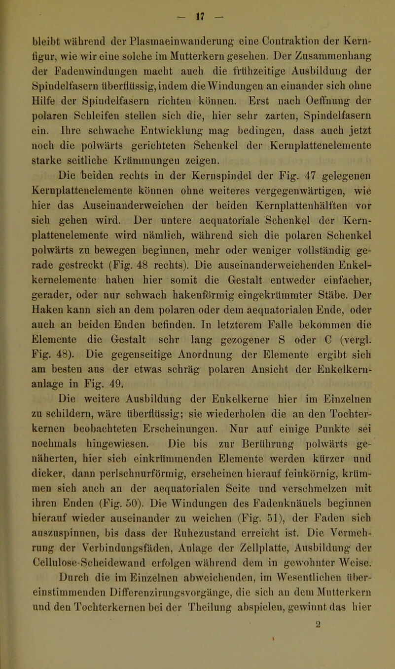 bleibt während der Plasmaeimvanderung eine Contraktion der Kern- figur, wie wir eine solche im Mutterkern gesehen. Der Zusammenhang der Fadenwindungen macht auch die frühzeitige Ausbildung der Spindelfasern überflüssig, indem die Windungen au einander sich ohne Hilfe der Spindelfasern richten können. Erst nach Oeffnung der polaren Schleifen stellen sich die, hier sehr zarten, Spindelfasern ein. Ihre schwache Entwicklung mag bedingen, dass auch jetzt noch die polwärts gerichteten Schenkel der Kernplattenelemente starke seitliche Krümmungen zeigen. Die beiden rechts in der Kernspindel der Fig. 47 gelegenen Kernplattenelemente können ohne weiteres vergegenwärtigen, wie hier das Auseiuanderweichen der beiden Kernplattenhälften vor sich gehen wird. Der untere aequatoriale Schenkel der Kern- plattenelemente wird nämlich, während sich die polaren Schenkel polwärts zu bewegen beginnen, mehr oder weniger vollständig ge- rade gestreckt (Fig. 48 rechts). Die auseinanderweichenden Enkel- kernelemente haben hier somit die Gestalt entweder einfacher, gerader, oder nur schwach hakenförmig eingekrümmter Stäbe. Der Haken kann sich an dem polaren oder dem aequatorialen Ende, oder auch an beiden Enden befinden. Tn letzterem Falle bekommen die Elemente die Gestalt sehr lang gezogener S oder C (vergl. Fig. 48). Die gegenseitige Anordnung der Elemente ergibt sich am besten aus der etwas schräg polaren Ansicht der Enkelkern- anlage in Fig. 49. Die weitere Ausbildung der Enkelkerne hier im Einzelnen zu schildern, wäre überflüssig; sie wiederholen die an den Tochter- kernen beobachteten Erscheinungen. Nur auf einige Punkte sei nochmals hingewiesen. Die bis zur Berührung polwärts ge- näherten, hier sich einkrümmenden Elemente werden kürzer und dicker, dann perlschnurförmig, erscheinen hierauf feinkörnig, krüm- men sich auch an der aequatorialen Seite und verschmelzen mit ihren Enden (Fig. 50). Die Windungen des Fadenknäuels beginnen hierauf wieder auseinander zu weichen (Fig. 51), der Faden sich auszuspinnen, bis dass der Ruhezustand erreicht ist. Die Vermeh- rung der Verbindungsfäden, Anlage der Zellplatte, Ausbildung der Cellulose-Scheidewand erfolgen während dem in gewohnter Weise. Durch die im Einzelnen abweichenden, im Wesentlichen über- einstimmenden Differenzirungsvorgänge, die sich an dem Mutterkern und den Tochterkernen bei der Theilung abspielen, gewinnt das hier 2 i