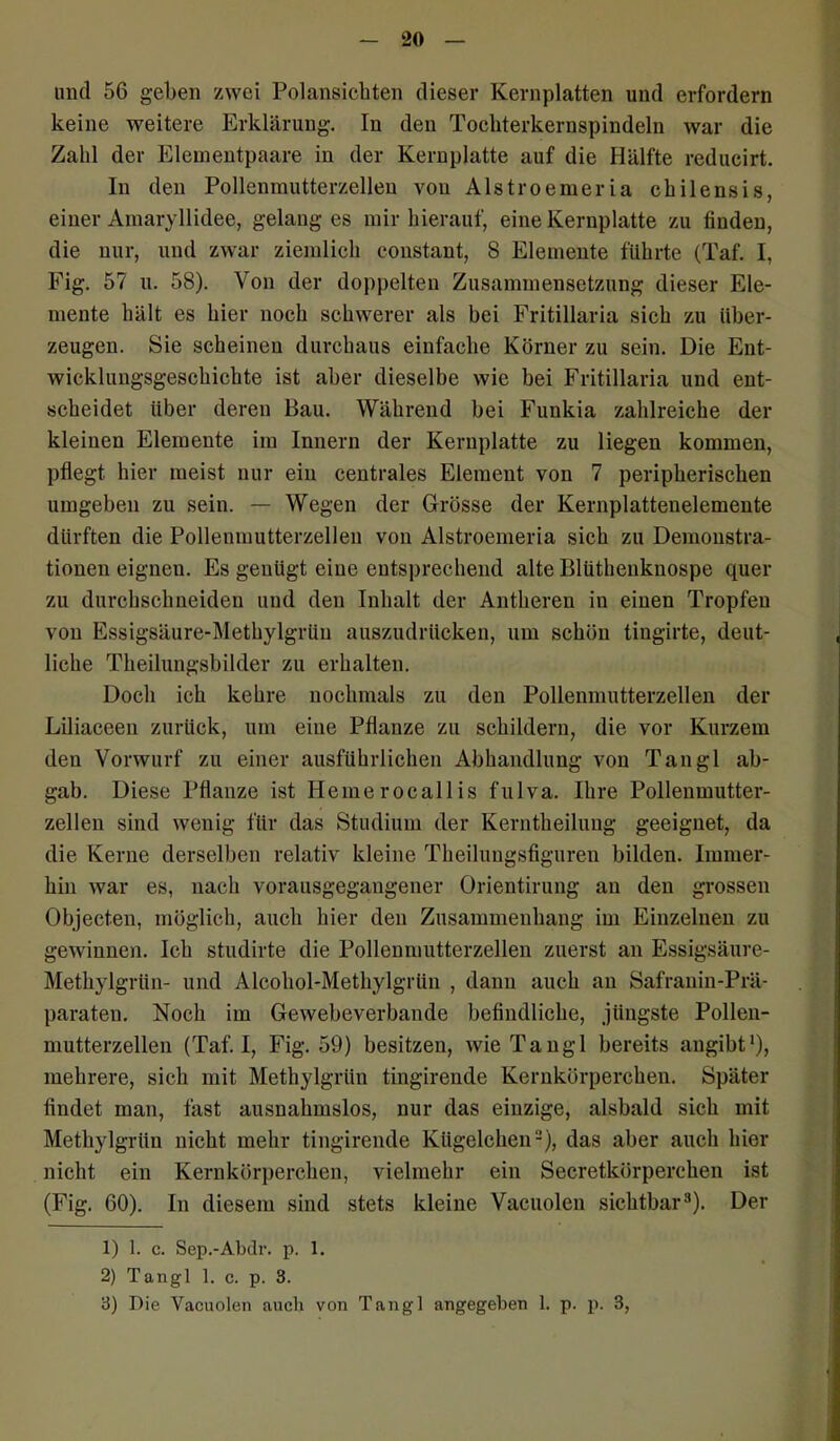 und 56 geben zwei Polansichten dieser Kernplatten und erfordern keine weitere Erklärung. In den Tochterkernspindeln war die Zahl der Elementpaare in der Kernplatte auf die Hälfte reducirt. In den Pollenmutterzellen von Alstroemeria chilensis, einer Amaryllidee, gelang es mir hierauf, eine Kernplatte zu finden, die nur, und zwar ziemlich constant, 8 Elemente führte (Taf. I, Fig. 57 u. 58). Von der doppelten Zusammensetzung dieser Ele- mente hält es hier noch schwerer als bei Fritillaria sich zu über- zeugen. Sie scheinen durchaus einfache Körner zu sein. Die Ent- wicklungsgeschichte ist aber dieselbe wie bei Fritillaria und ent- scheidet über deren Bau. Während bei Funkia zahlreiche der kleinen Elemente im Innern der Kernplatte zu liegen kommen, pflegt hier meist nur ein centrales Element von 7 peripherischen umgeben zu sein. — Wegen der Grösse der Kernplattenelemente dürften die Pollenmutterzellen von Alstroemeria sich zu Demonstra- tionen eignen. Es genügt eine entsprechend alte Blüthenknospe quer zu durchschneiden und den Inhalt der Antheren in einen Tropfen von Essigsäure-Methylgrüu auszudrücken, um schön tingirte, deut- liche Theilungsbilder zu erhalten. Doch ich kehre nochmals zu den Pollenmutterzellen der Liliaceeu zurück, um eine Pflanze zu schildern, die vor Kurzem den Vorwurf zu einer ausführlichen Abhandlung von Tan gl ab- gab. Diese Pflanze ist Hemerocallis fulva. Ihre Pollenmutter- zellen sind wenig für das Studium der Kerntheilung geeignet, da die Kerne derselben relativ kleine Theilungsfiguren bilden. Immer- hin war es, nach vorausgegangener Orientirung an den grossen Objecten, möglich, auch hier den Zusammenhang im Einzelnen zu gewinnen. Ich studirte die Pollenmutterzellen zuerst an Essigsäure- Methylgrüu- und Alcohol-Methylgriin , dann auch an Safranin-Prä- paraten. Noch im Gewebeverbande befindliche, jüngste Pollen- mutterzellen (Taf. I, Fig. 59) besitzen, wie Tangl bereits angibt1), mehrere, sich mit Methylgrün tingirende Kernkörperchen. Später findet man, last ausnahmslos, nur das einzige, alsbald sich mit Methylgriiu nicht mehr tingirende Kügelchen2), das aber auch hier nicht ein Kernkörperchen, vielmehr ein Secretkörperchen ist (Fig. 60). In diesem sind stets kleine Vacuolen sichtbar3). Der 1) 1. c. Sep.-Abdr. p. 1. 2) Tangl 1. c. p. 3. 3) Die Vacuolen auch von Tangl angegeben 1. p. p. 3,