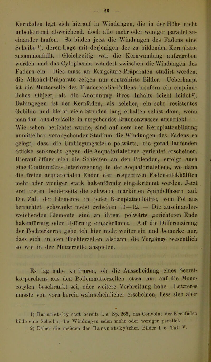 2« Kernfaden legt sicli hierauf in Windungen, die in der Höhe nicht unbedeutend abweichend, doch alle mehr oder weniger parallel zu- einander laufen. So bilden jetzt die Windungen des Fadens eine Scheibe J), deren Lage mit derjenigen der zu bildenden Kernplatte zusammenfällt. Gleichzeitig war die Kernwandung aufgegeben worden und das Cytoplasma wandert zwischen die Windungen des Fadens ein. Dies muss an Essigsäure-Präparaten studirt werden, die Alkohol-Präparate zeigen nur contrahirte Bilder. Ueberhaupt ist die Mutterzelle des Tradescantia-Pollens insofern ein empfind- liches Object, als die Anordnung ihres Inhalts leicht leidet1 2). Dahingegen ist der Kernfaden, als solcher, ein sehr resistentes Gebilde und bleibt viele Stunden lang erhalten selbst dann, wenn man ihn aus der Zelle in umgebendes Brunnenwasser ausdrückt. — Wie schon berichtet wurde, sind auf dem der Kernplattenbildung unmittelbar vorangehenden Stadium die Windungen des Fadens so gelegt, dass die Umbiegungsstelle polwärts, die gerad laufenden Stücke senkrecht gegen die Aequatorialebene gerichtet erscheinen. Hierauf öffnen sich die Schleifen an den Polenden, erfolgt auch eine Continuitäts-Unterbrechung in der Aequatorialebene, wo dann die freien aequatorialen Enden der respectiven Fadenstückhälften mehr oder weniger stark hakenförmig eingekrümmt werden. Jetzt erst treten beiderseits die schwach markirten Spindelfasern auf. Die Zahl der Elemente in jeder Kernplattenhälfte, vom Pol aus betrachtet, schwankt meist zwischen 10—12. — Die auseinander- weichenden Elemente sind an ihrem polwärts gerichteten Ende hakenförmig oder U-förmig eingekrümmt. Auf die Diflferenzirung der Tochterkerne gehe ich hier nicht weiter ein und bemerke nur, dass sieh in den Tochterzellen alsdann die Vorgänge wesentlich so wie in der Mutterzelle abspielen. Es lag nahe zu fragen, ob die Ausscheidung eines Secret- körperchens aus den Pollenmutterzellen etwa nur auf die Mono- cotyleu beschränkt sei, oder weitere Verbreitung habe. Letzteres musste von vorn herein wahrscheinlicher erscheinen, liess sich aber 1) Baranetzky sagt bereits 1. c. Sp. 265, das Convolut der Kernfäden bilde eine Scheibe, die Windungen seien mehr oder weniger parallel.